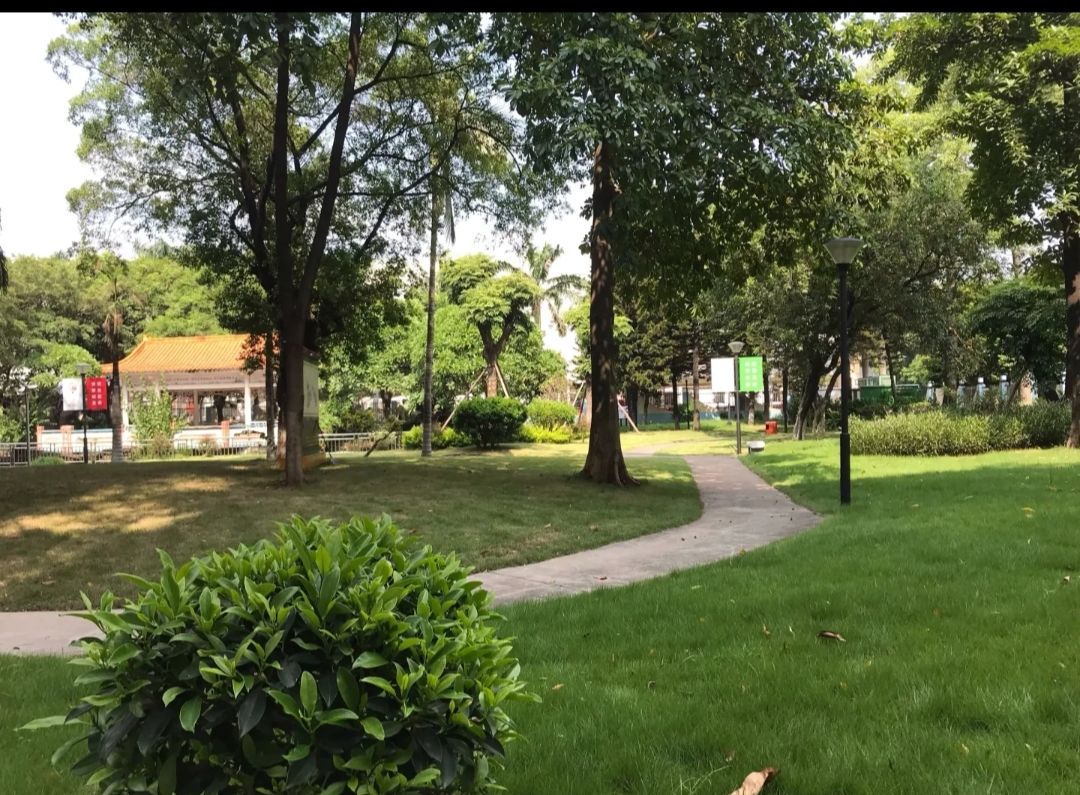 庆丰公园旅行图片 3