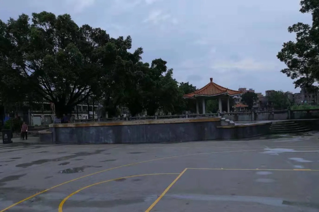 龙岗公园旅行图片 1