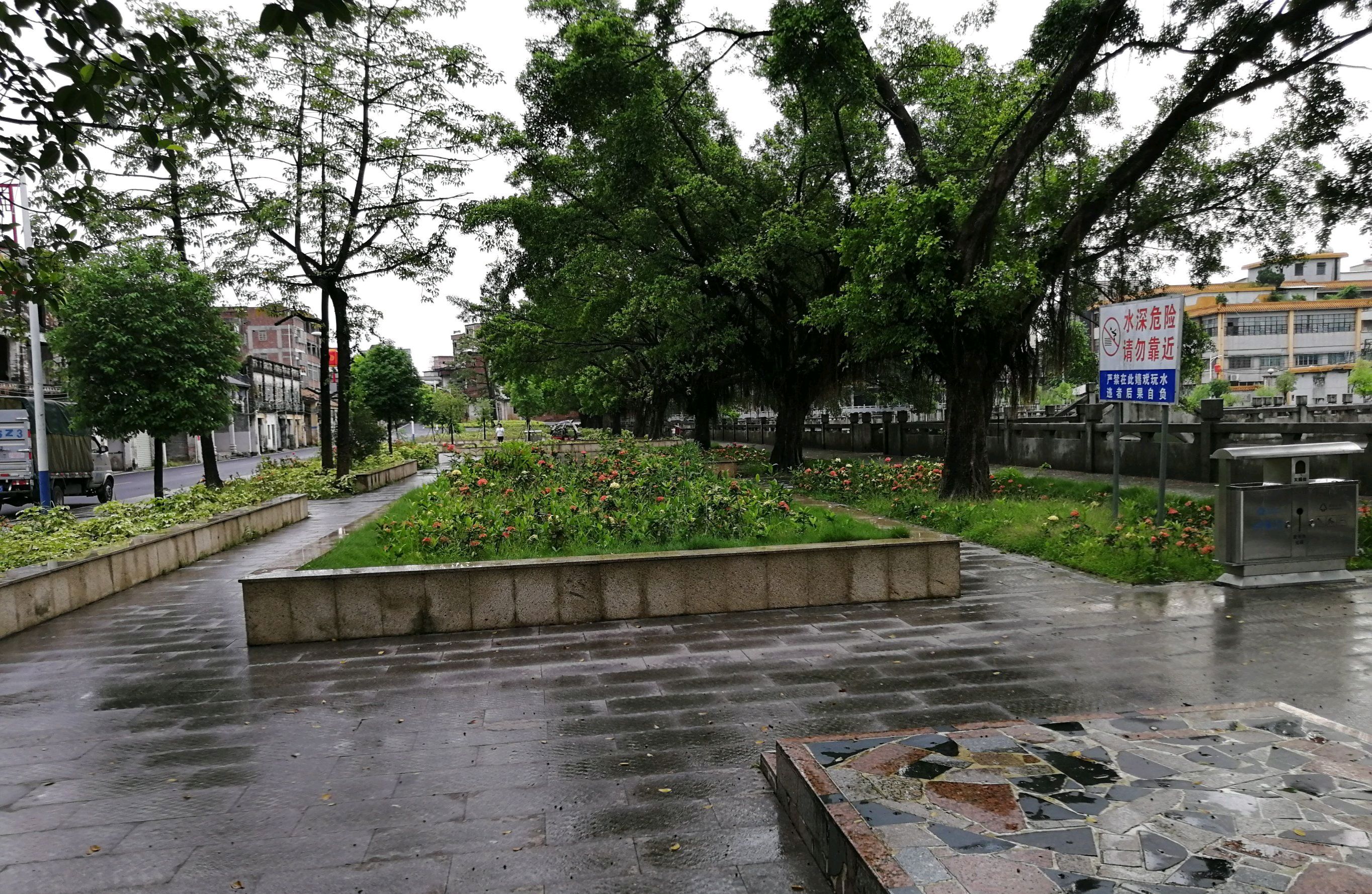 龙岗公园旅行图片 2