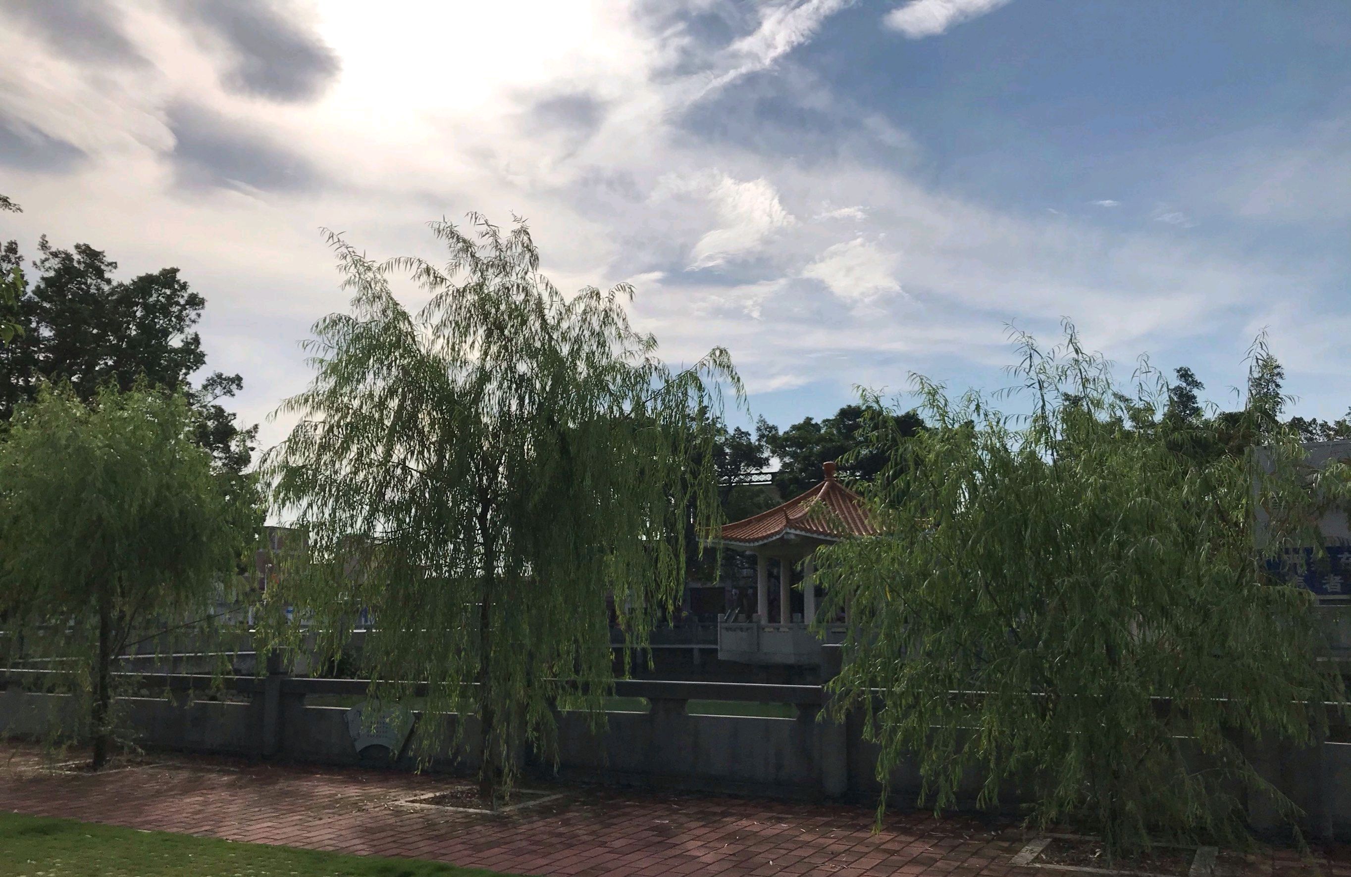 龙岗公园旅行图片 3