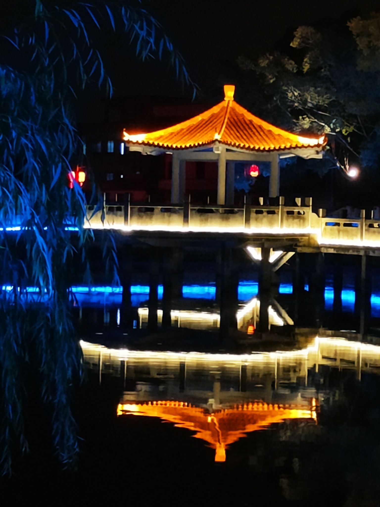龙岗公园旅行图片 3