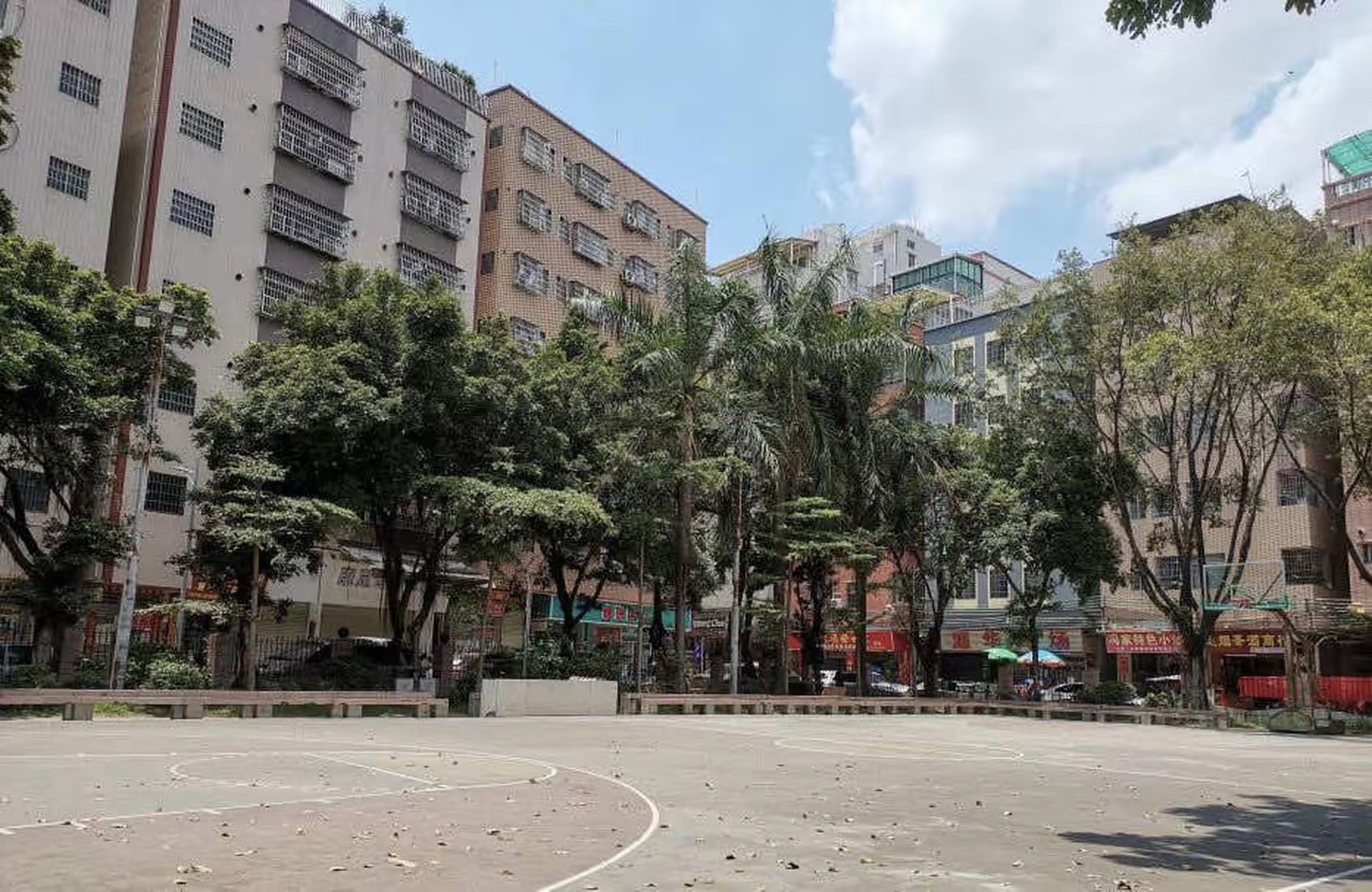 夏良高桥公园旅行图片 3
