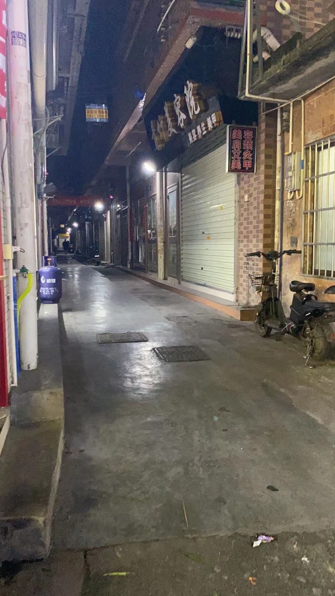 夏良高桥公园旅行图片 2