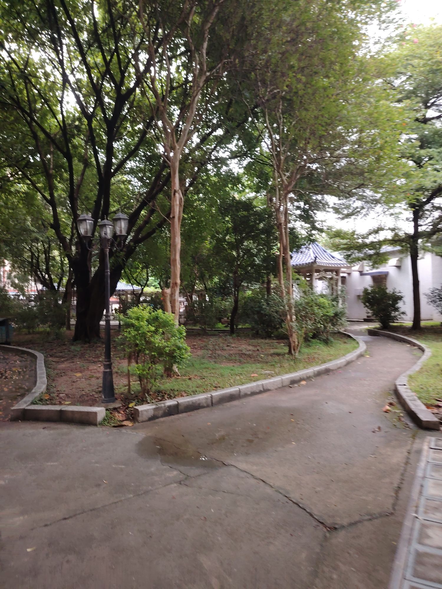 夏良高桥公园旅行图片 3