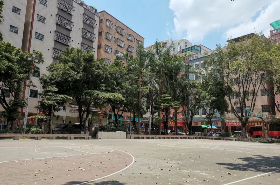 夏良高桥公园旅行图片 3