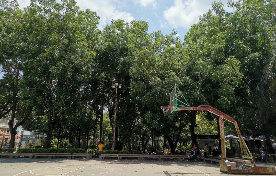 夏良高桥公园旅行图片 2