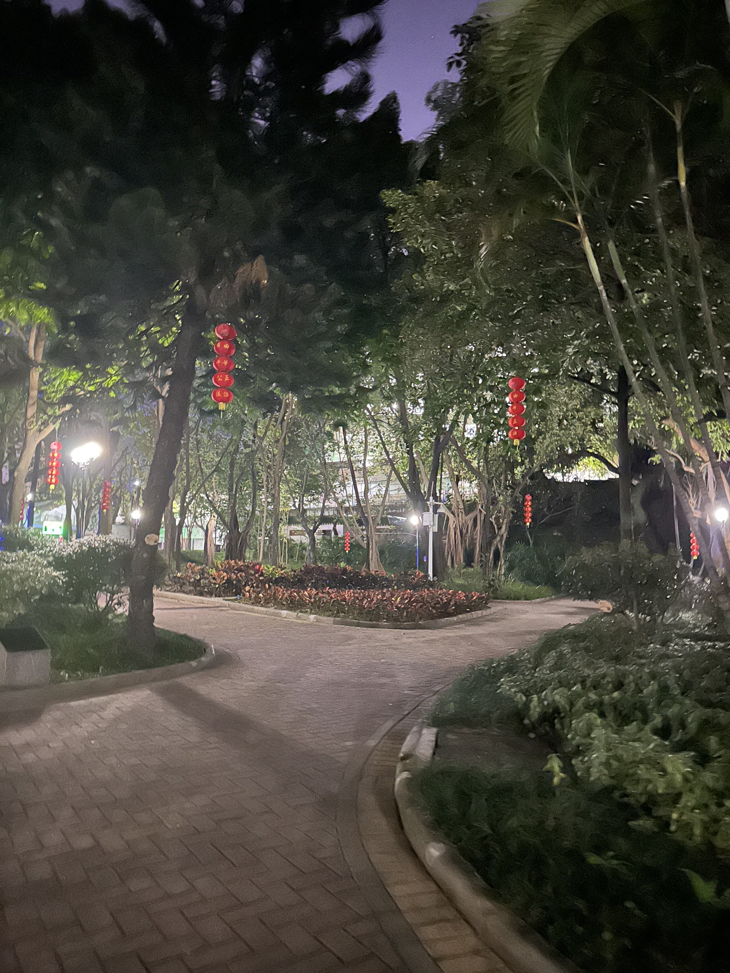增埗公园旅行图片 3