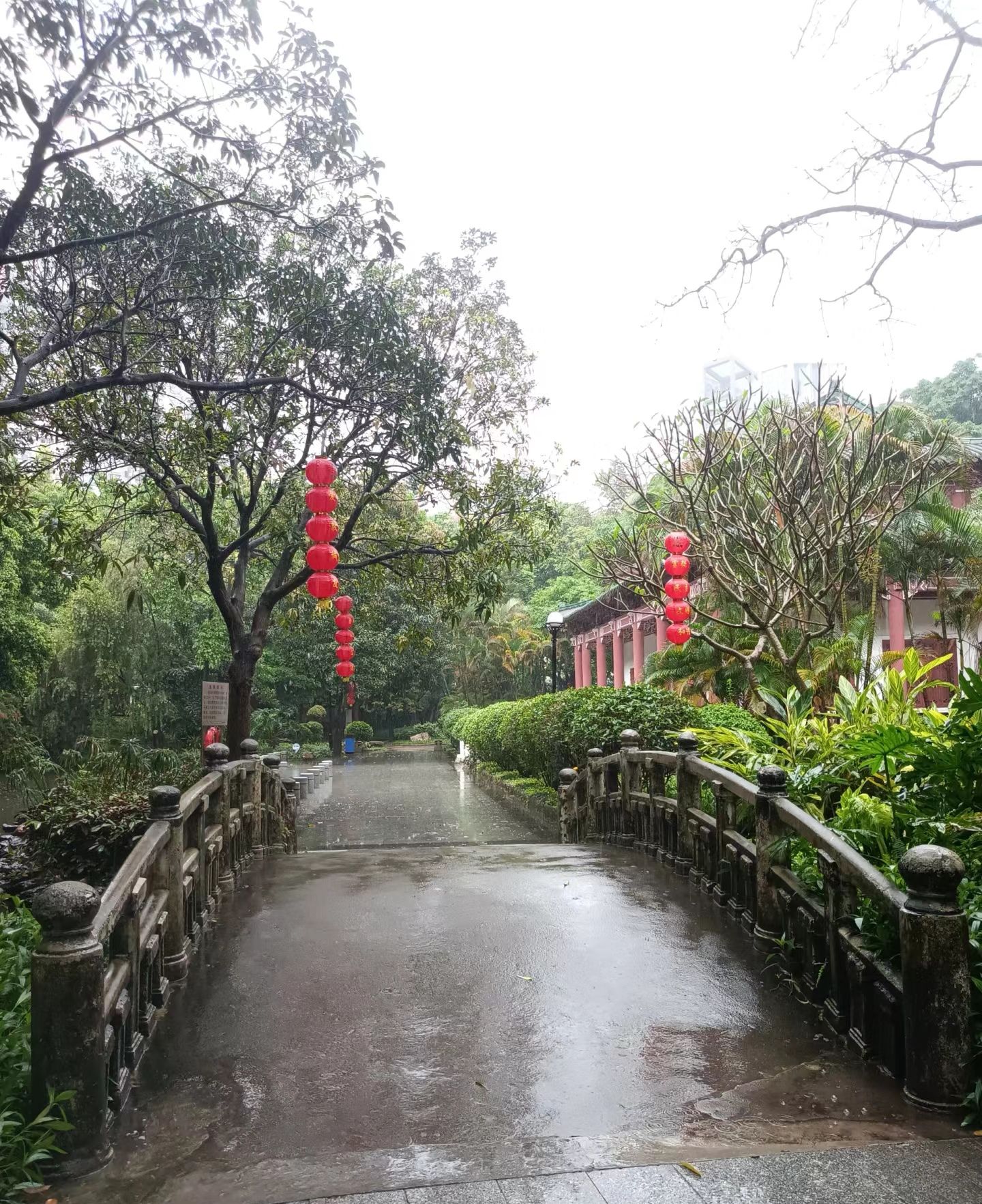 增埗公园旅行图片 2