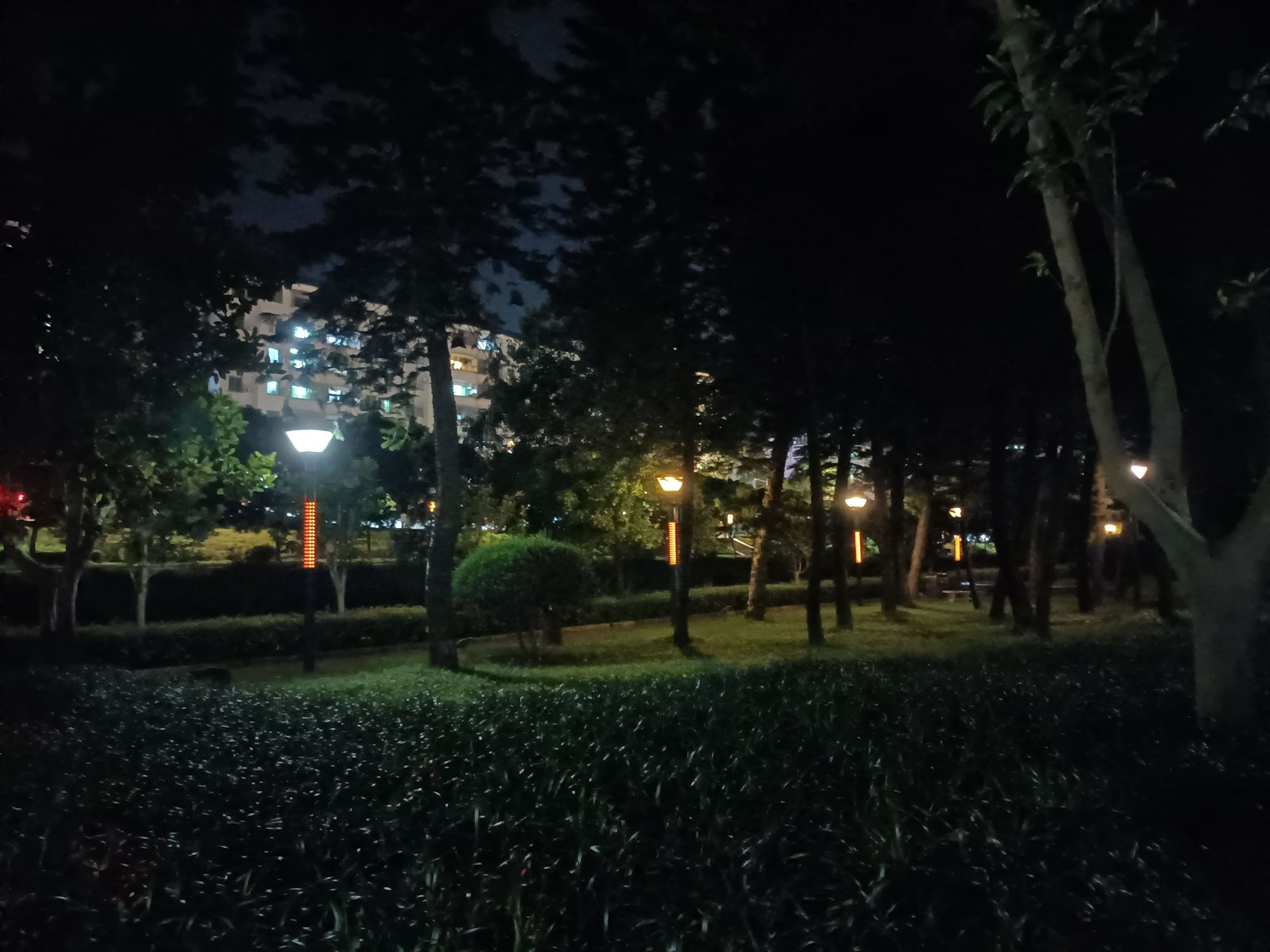 河岛公园旅行图片 2