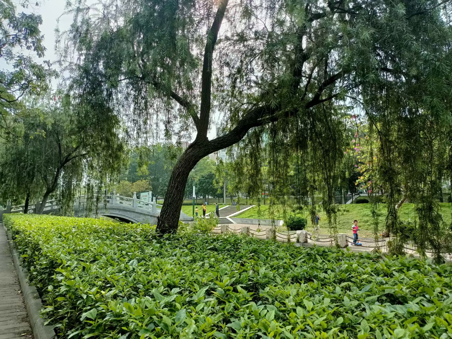 河岛公园旅行图片 3