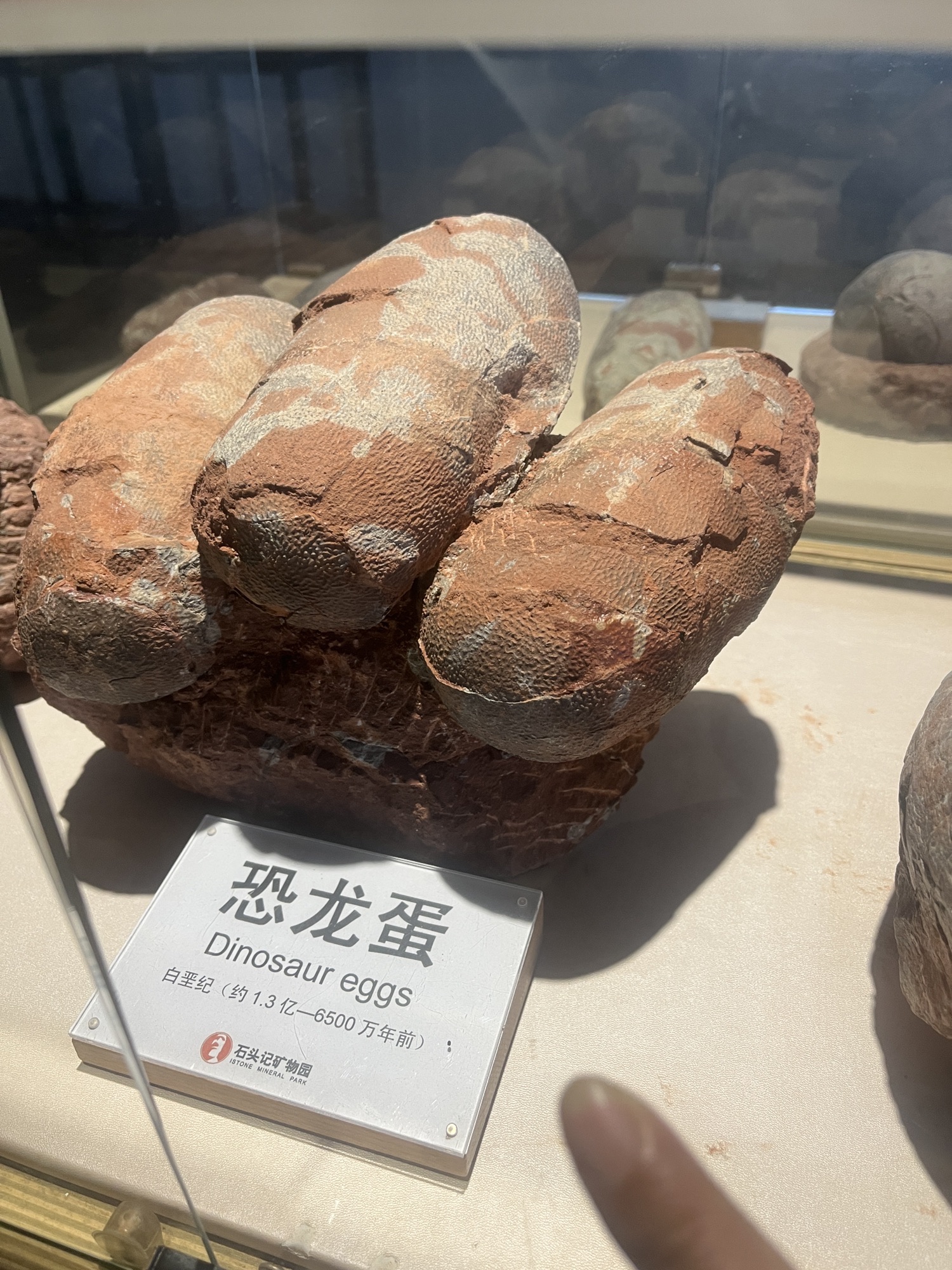 石头记矿物园旅行图片 3