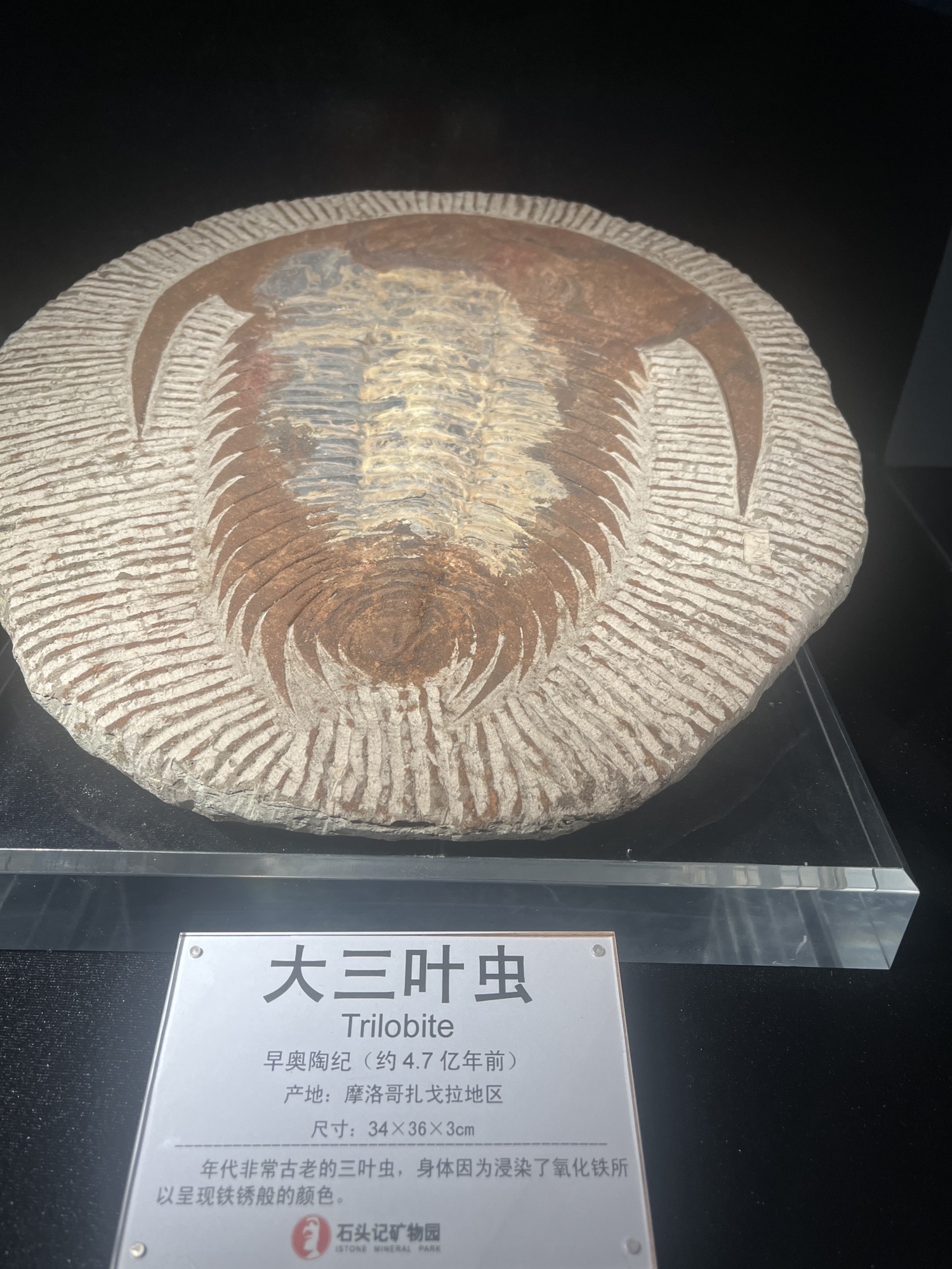 石头记矿物园旅行图片 1