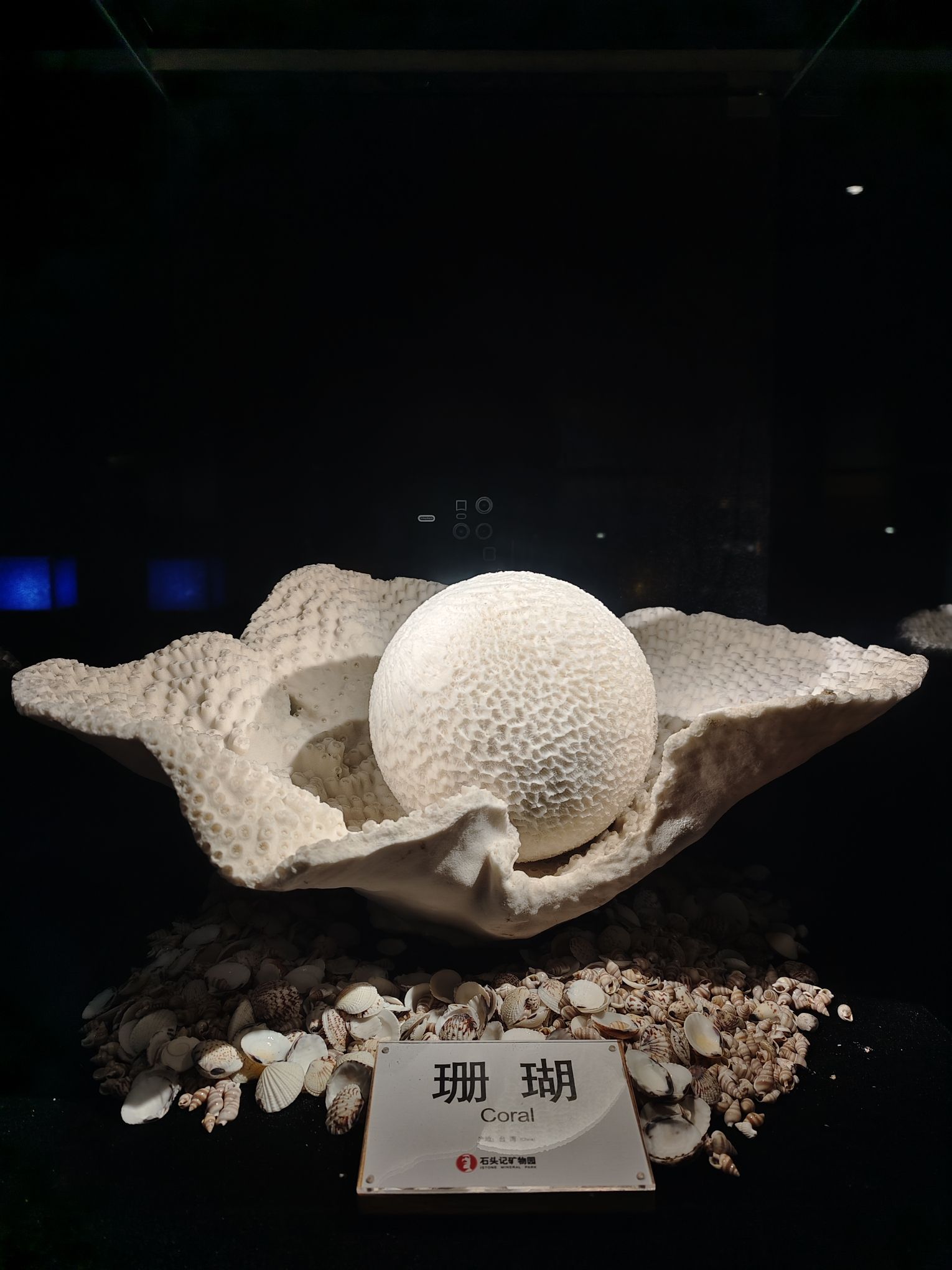 石头记矿物园旅行图片 2