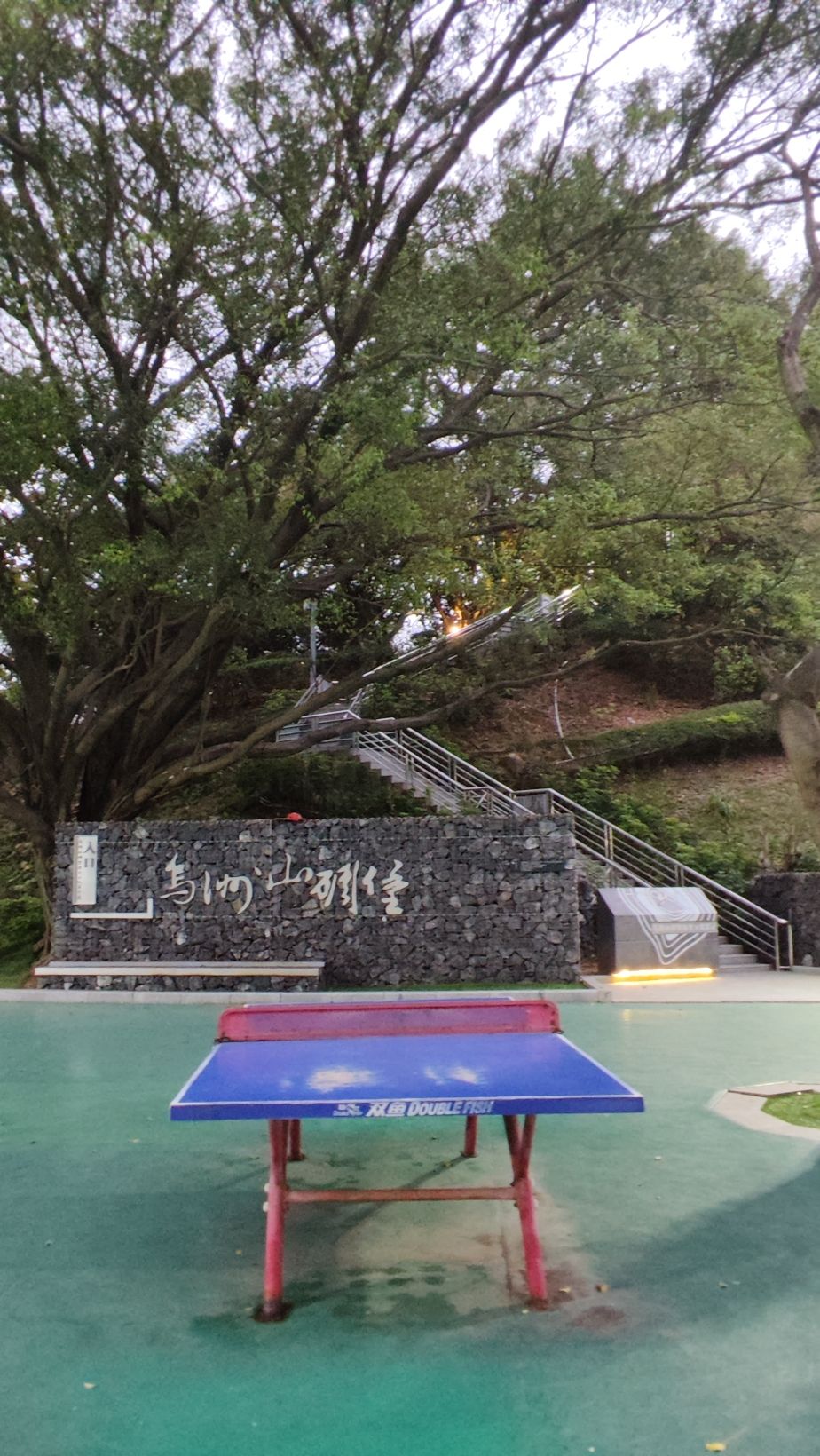 黄阁镇体育公园旅行图片 3