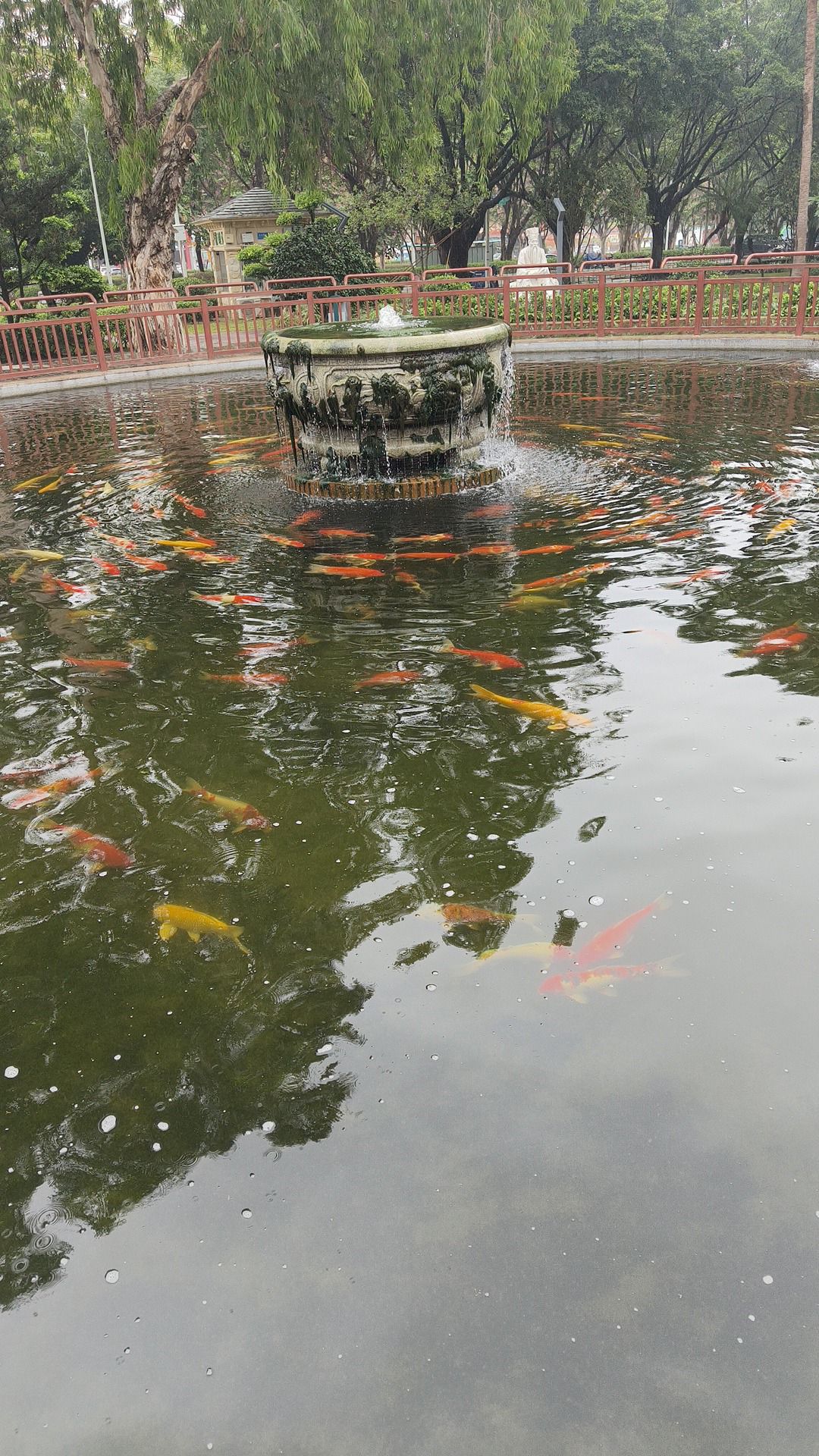 黄阁镇体育公园旅行图片 1