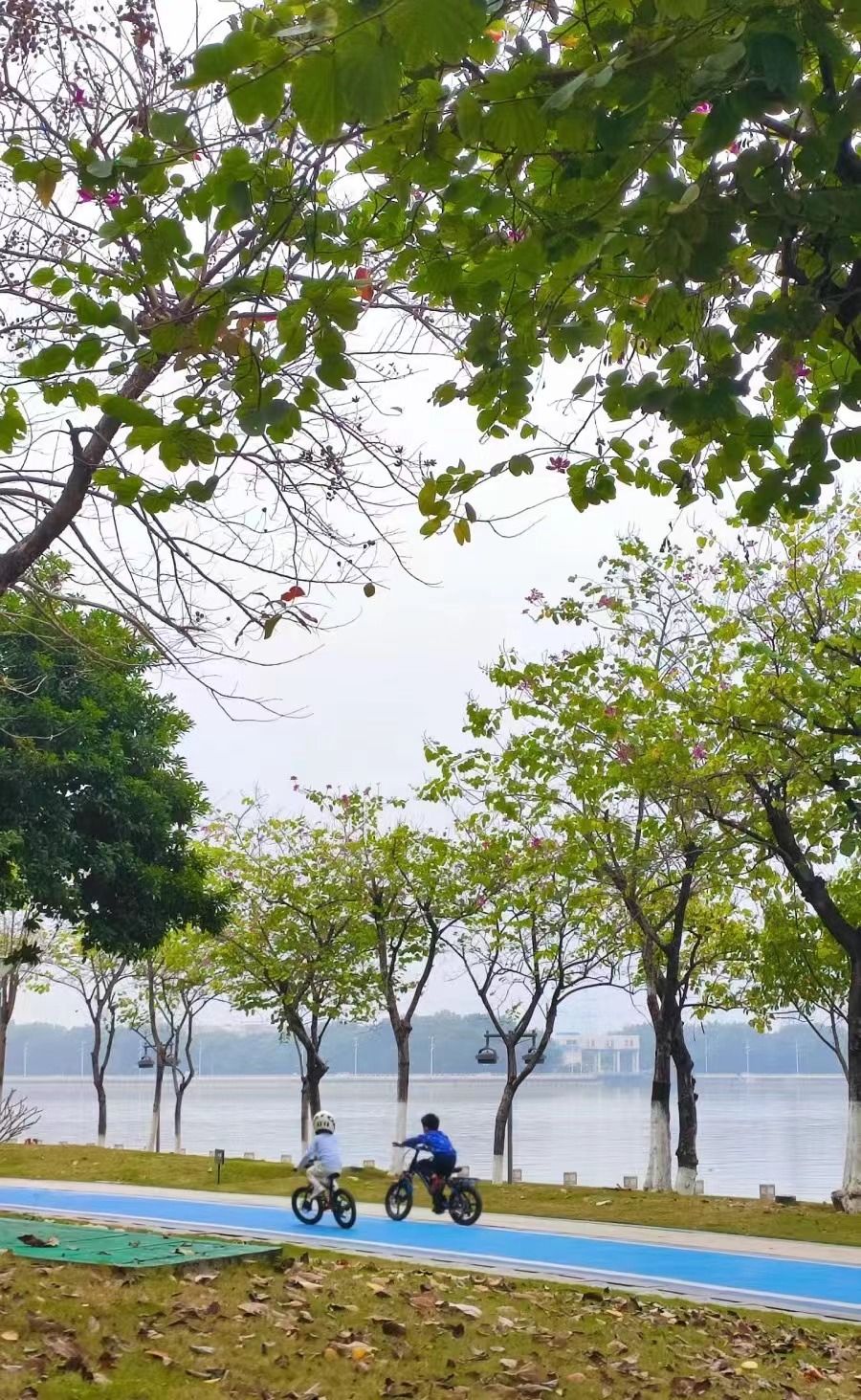 广州国际生物岛山地公园旅行图片 2