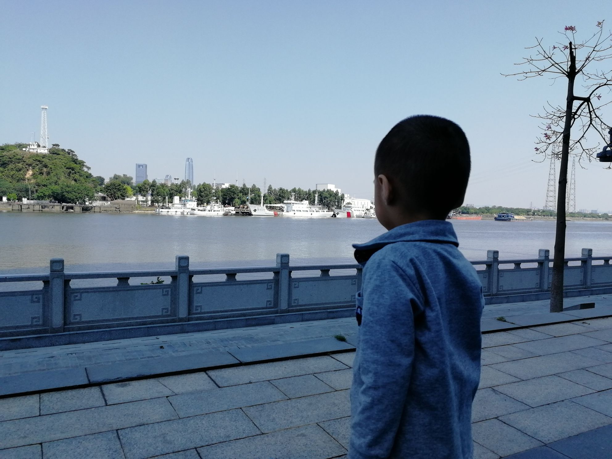 广州国际生物岛山地公园旅行图片 3