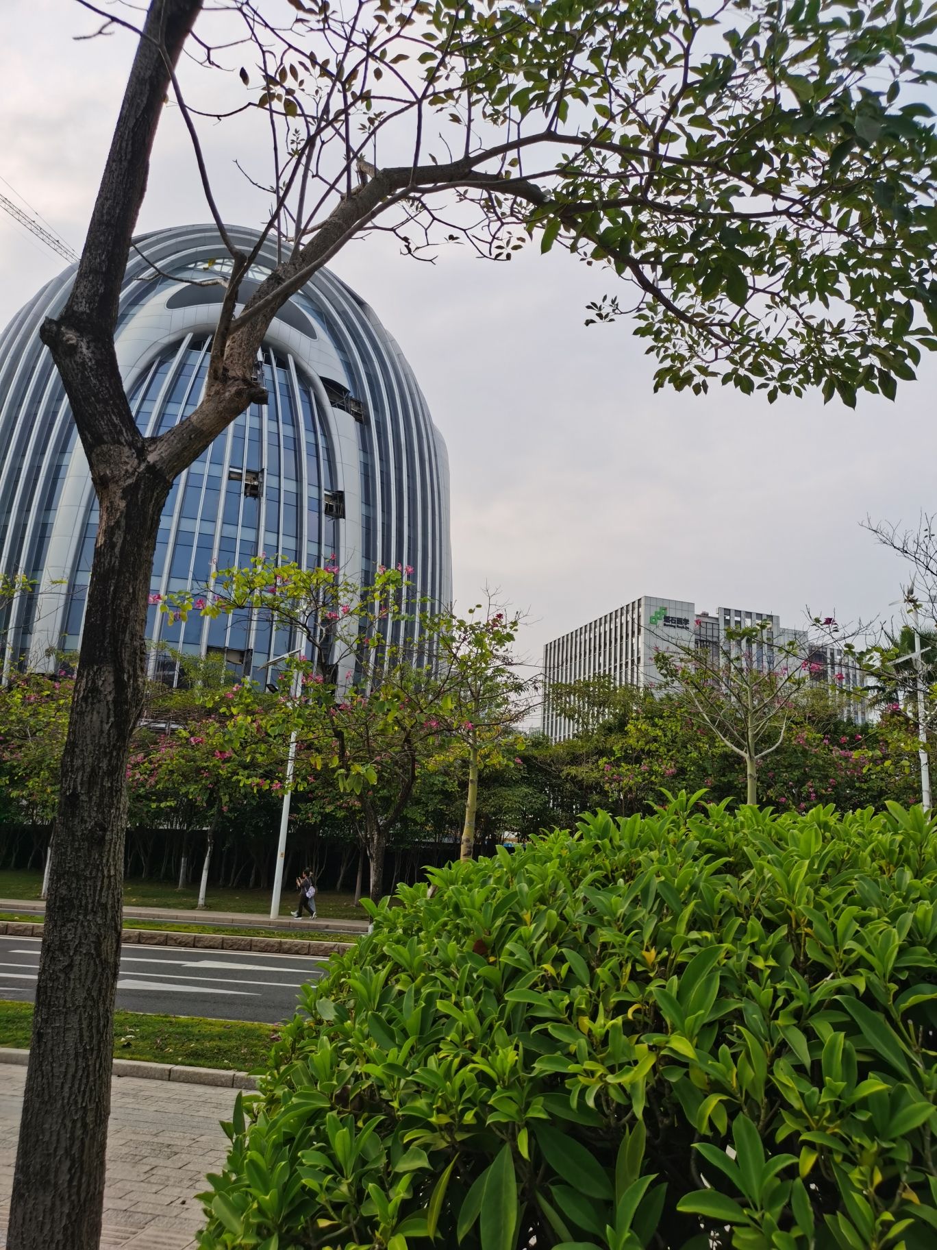 广州国际生物岛山地公园旅行图片 2
