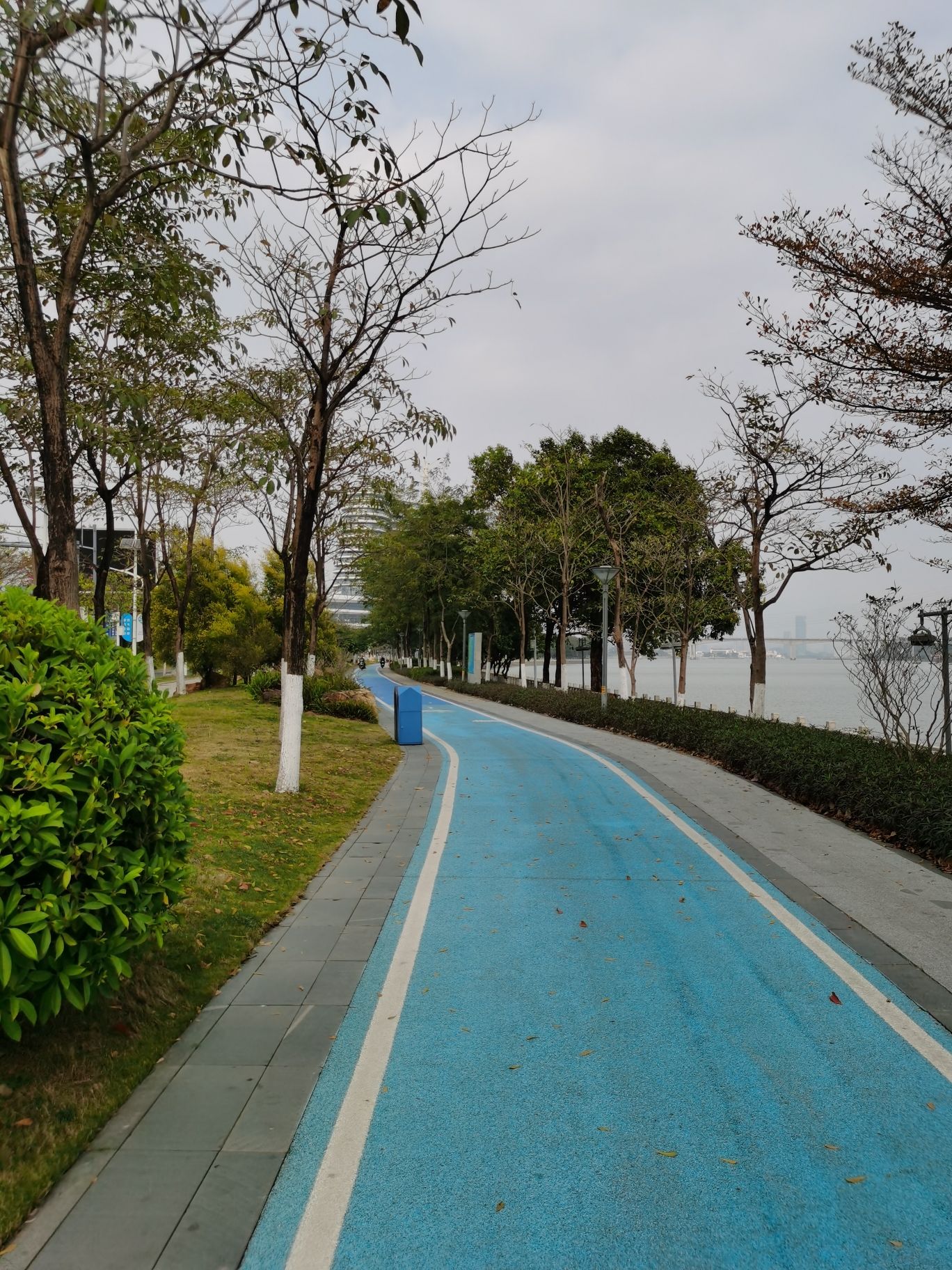广州国际生物岛山地公园旅行图片 1