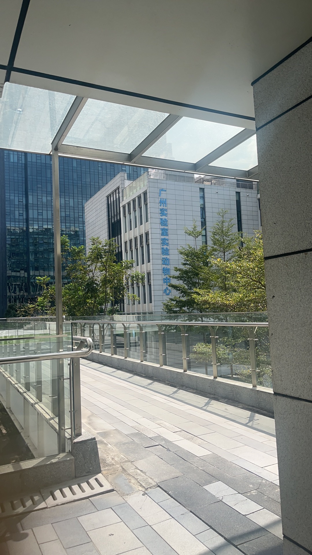 广州国际生物岛山地公园旅行图片 2