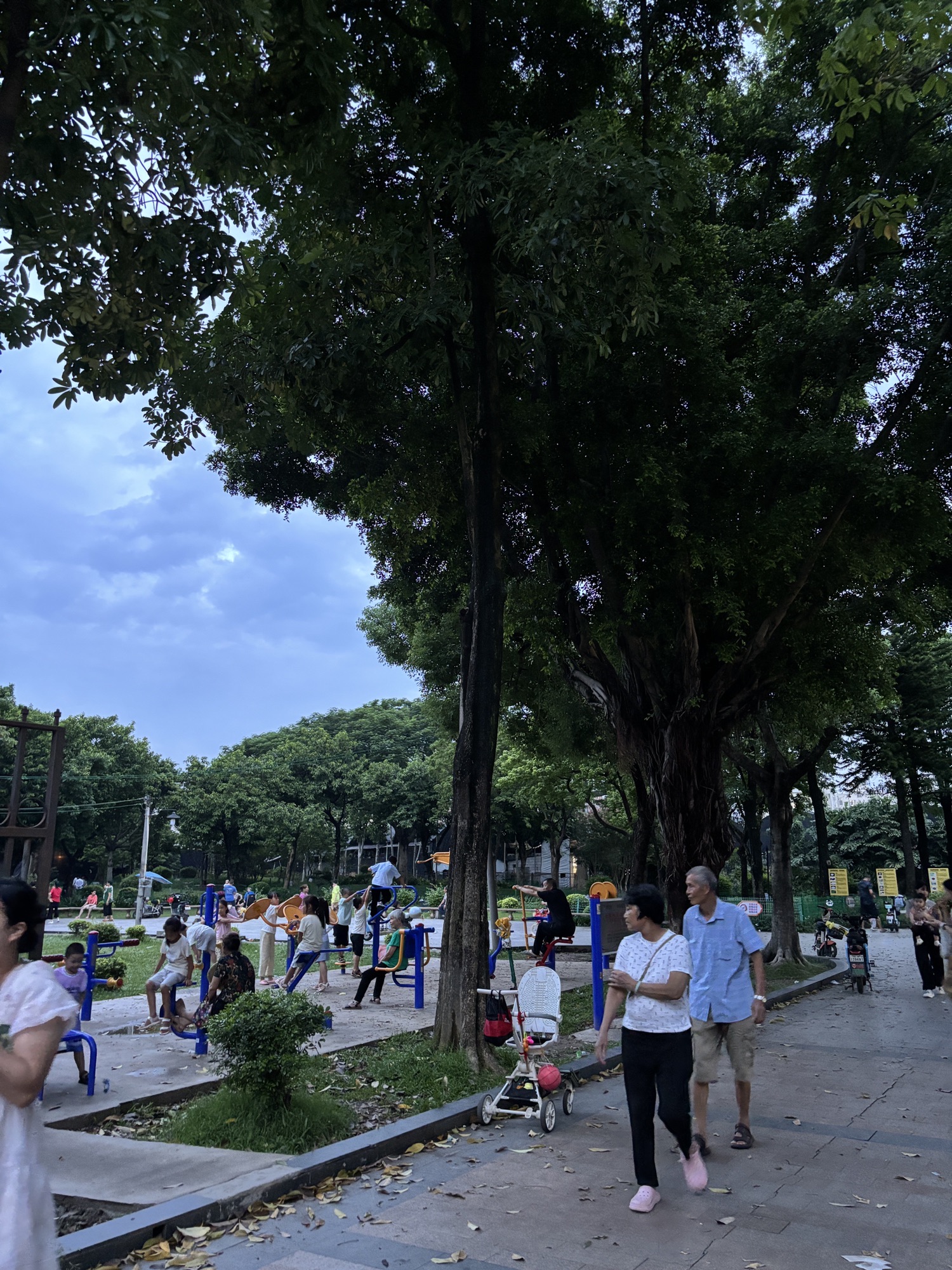 双清园旅行图片 2
