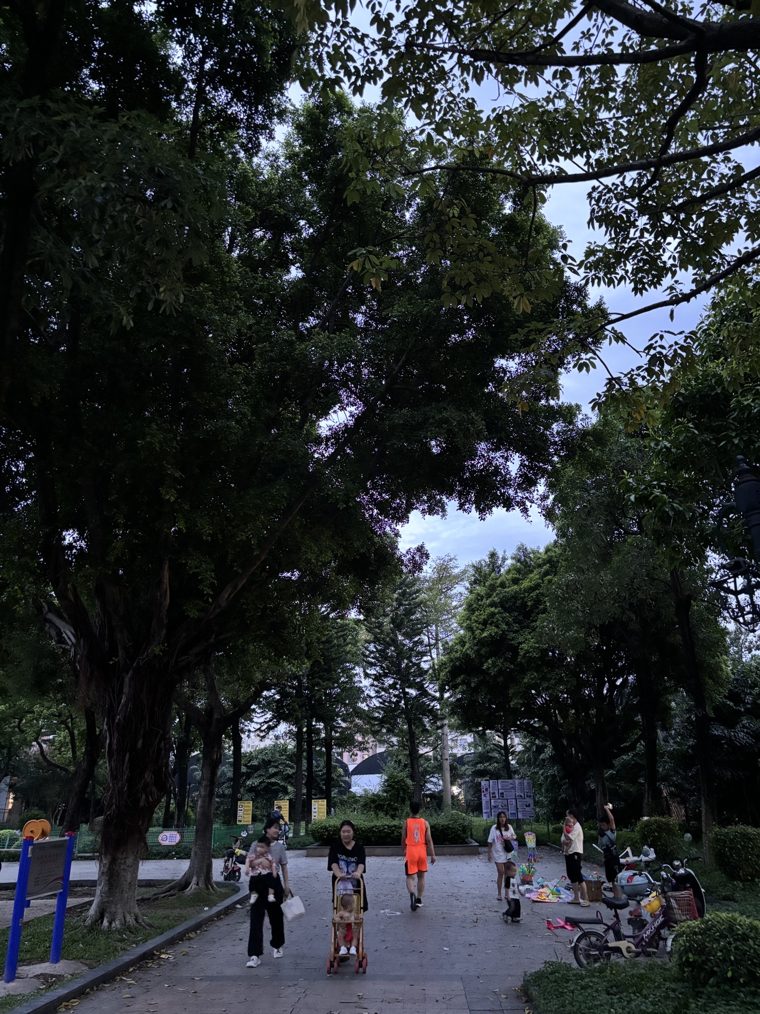 双清园旅行图片 3