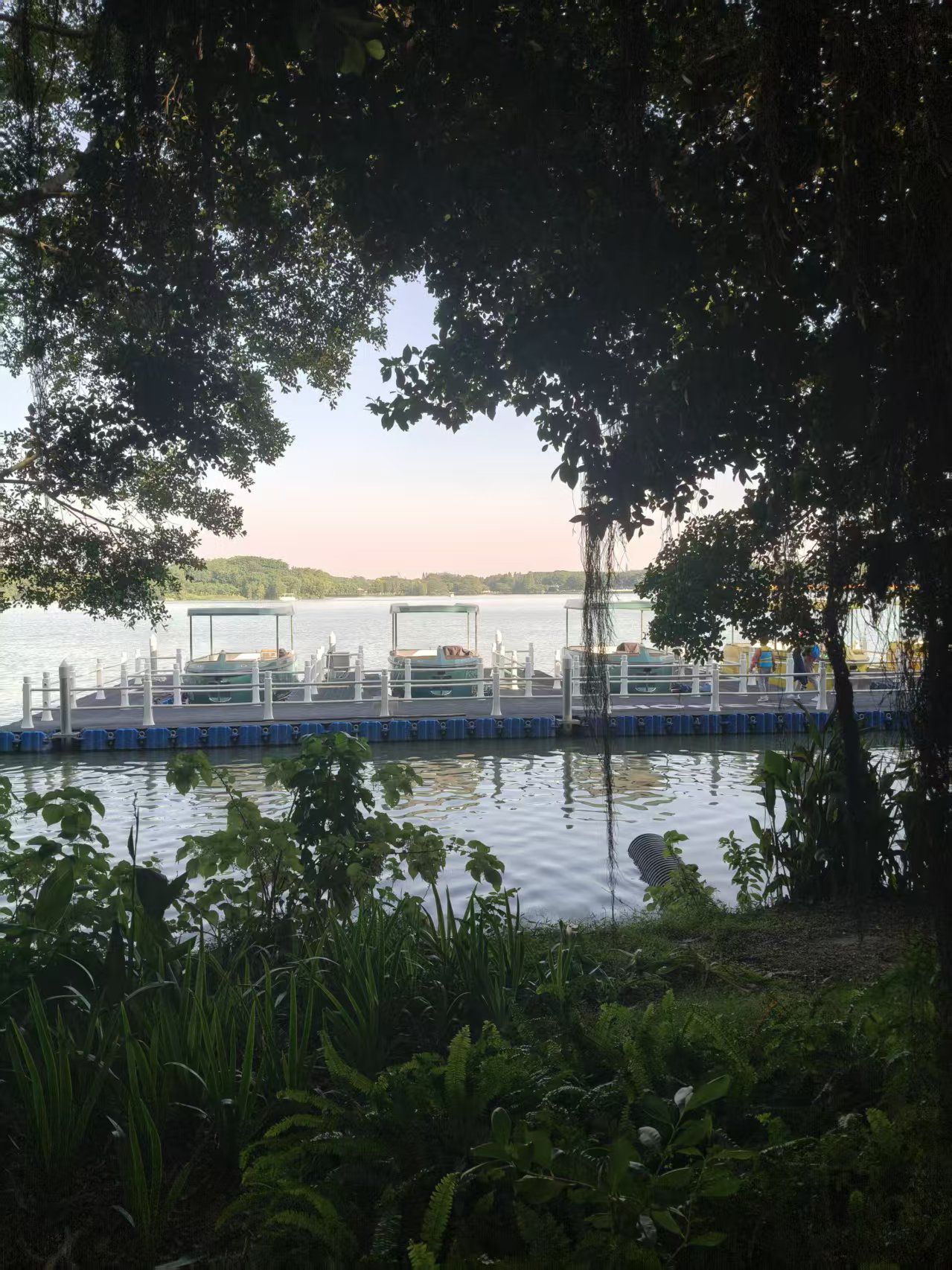 海珠湖旅行图片 1