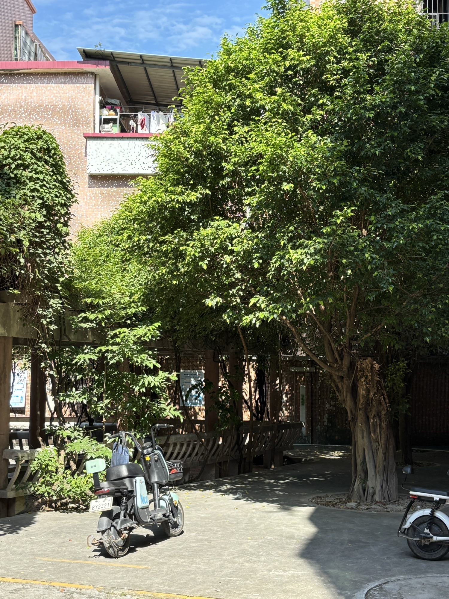 小罗公园旅行图片 3
