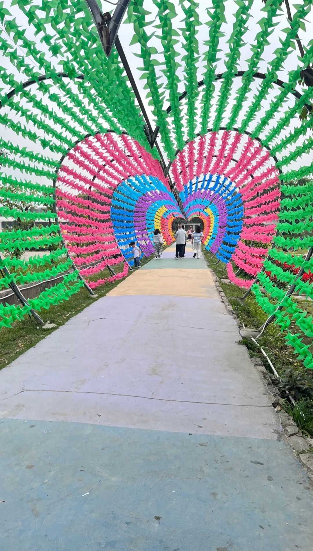 广州香草世界旅游度假区旅行图片 2