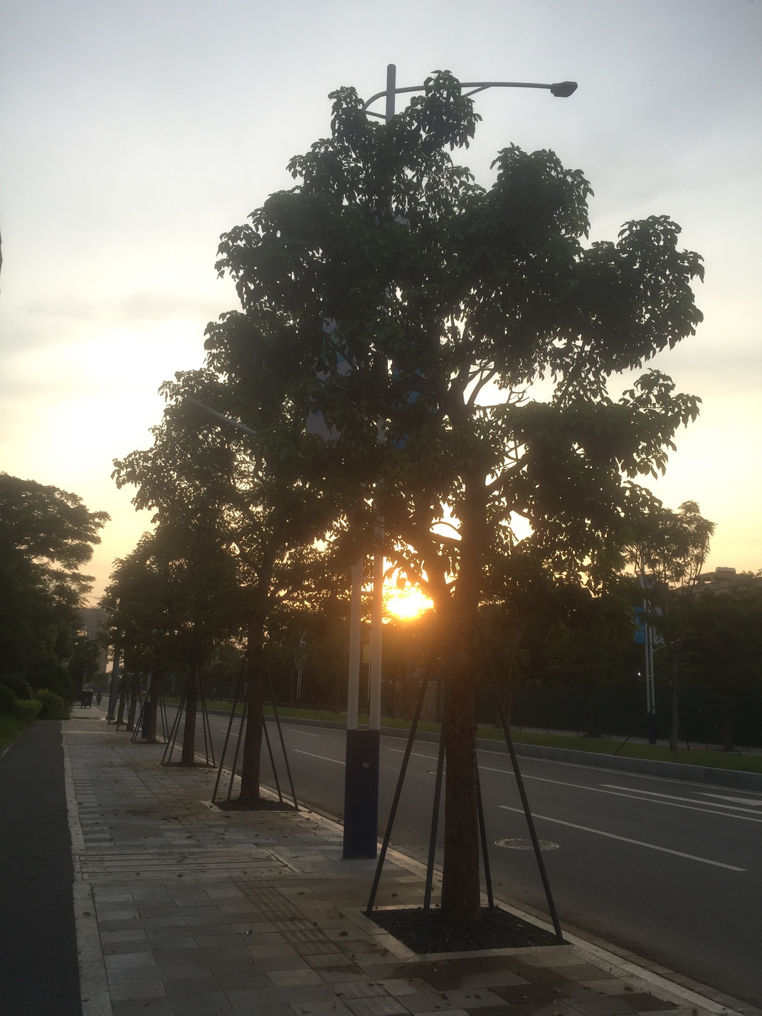 柏塘中心公园旅行图片 1