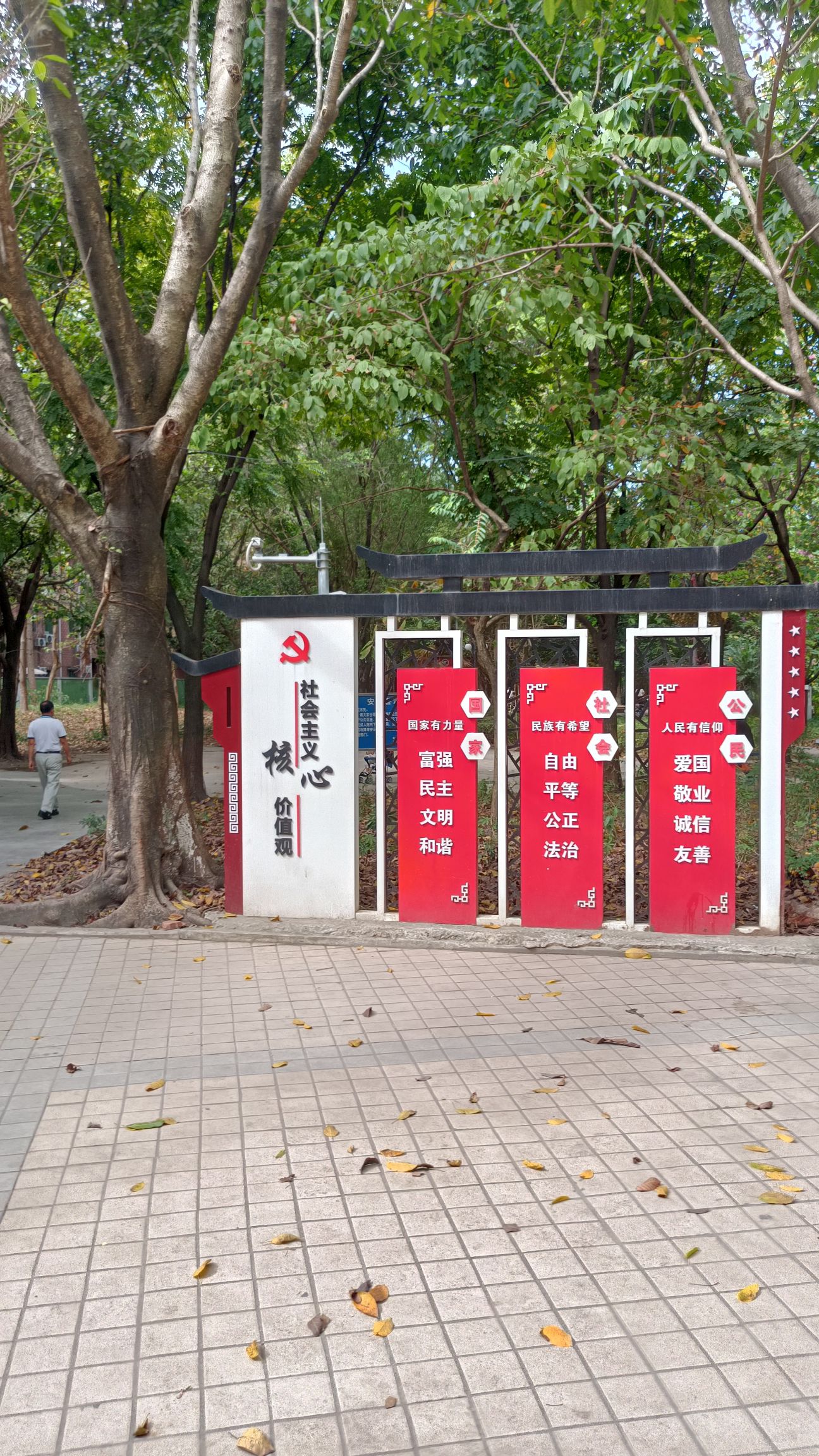 马务公园旅行图片 2