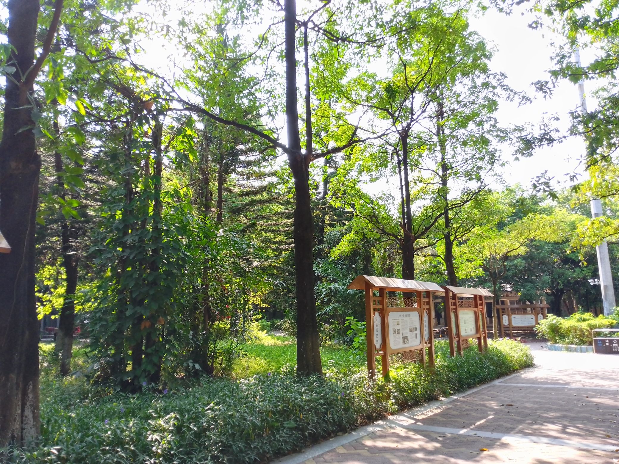 马务公园旅行图片 1