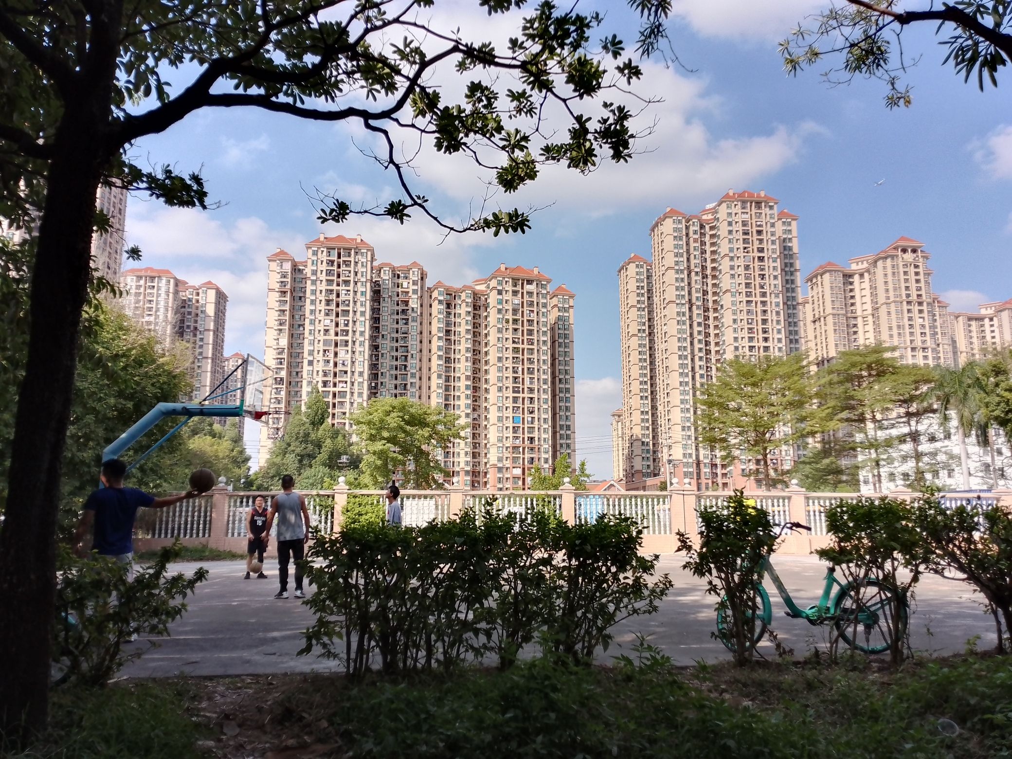 马务公园旅行图片 2