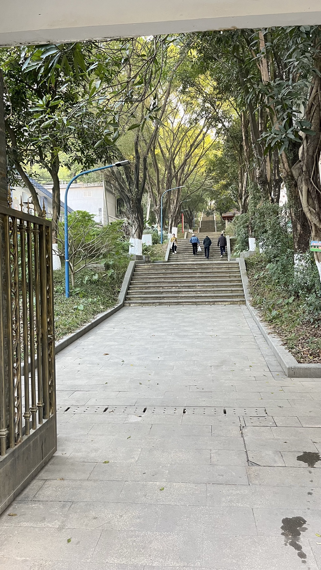 凤凰山公园旅行图片 2