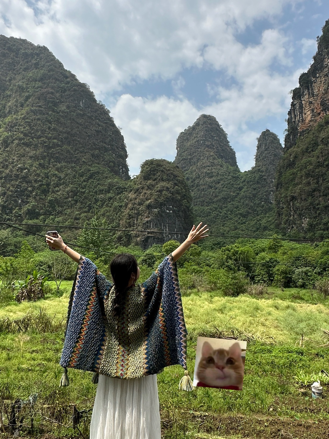 岐山公园旅行图片 1