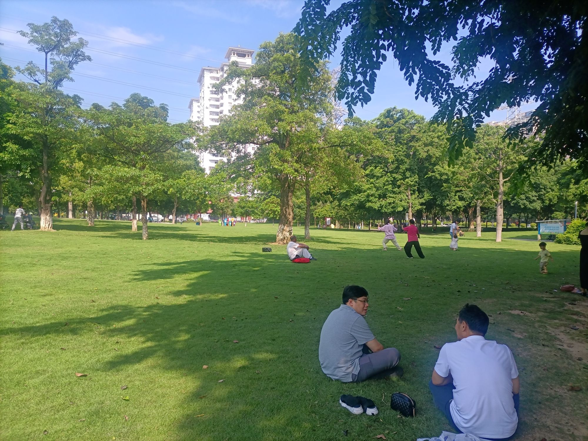 蝴蝶洲公园旅行图片 3