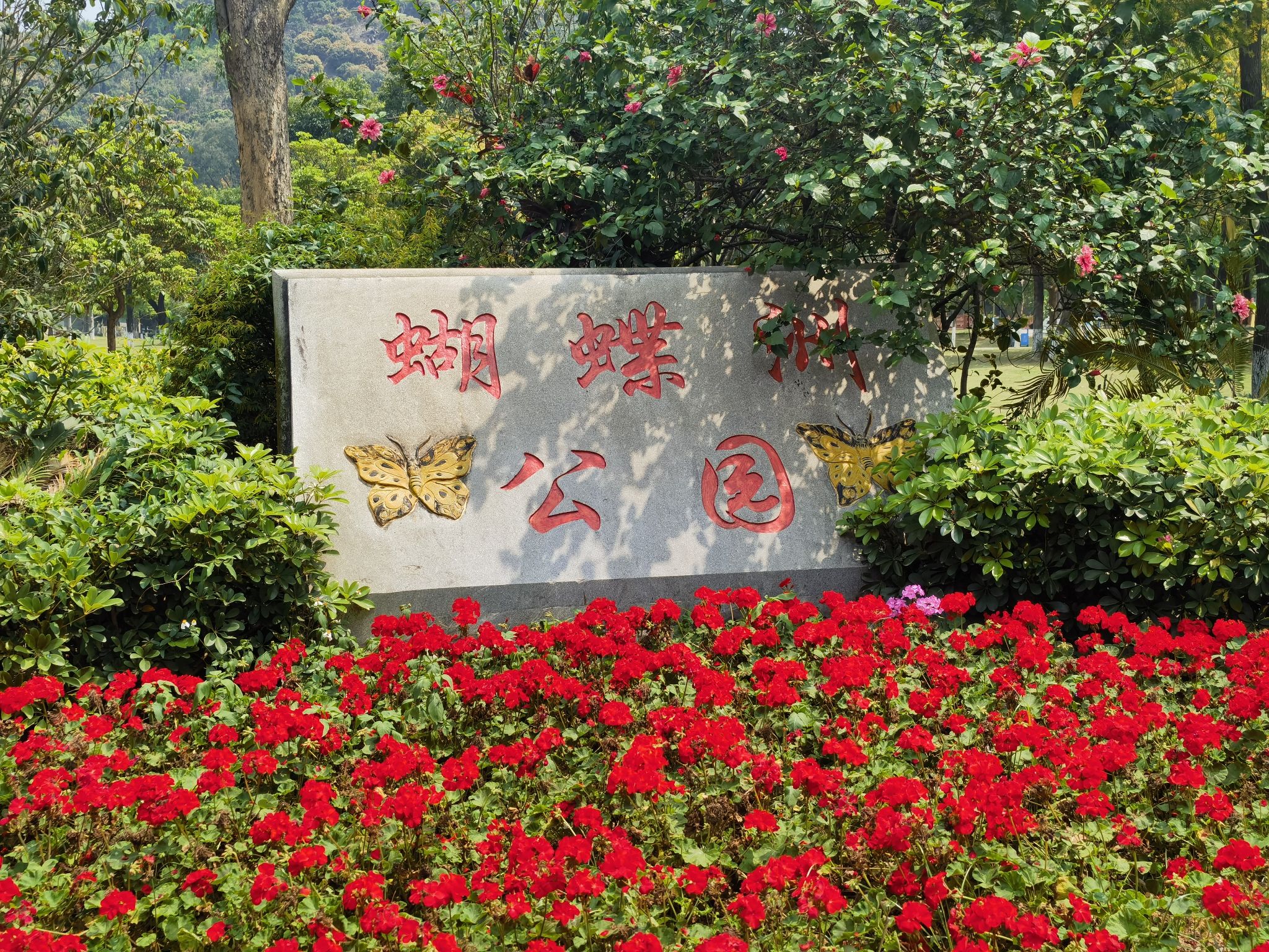 蝴蝶洲公园旅行图片 1