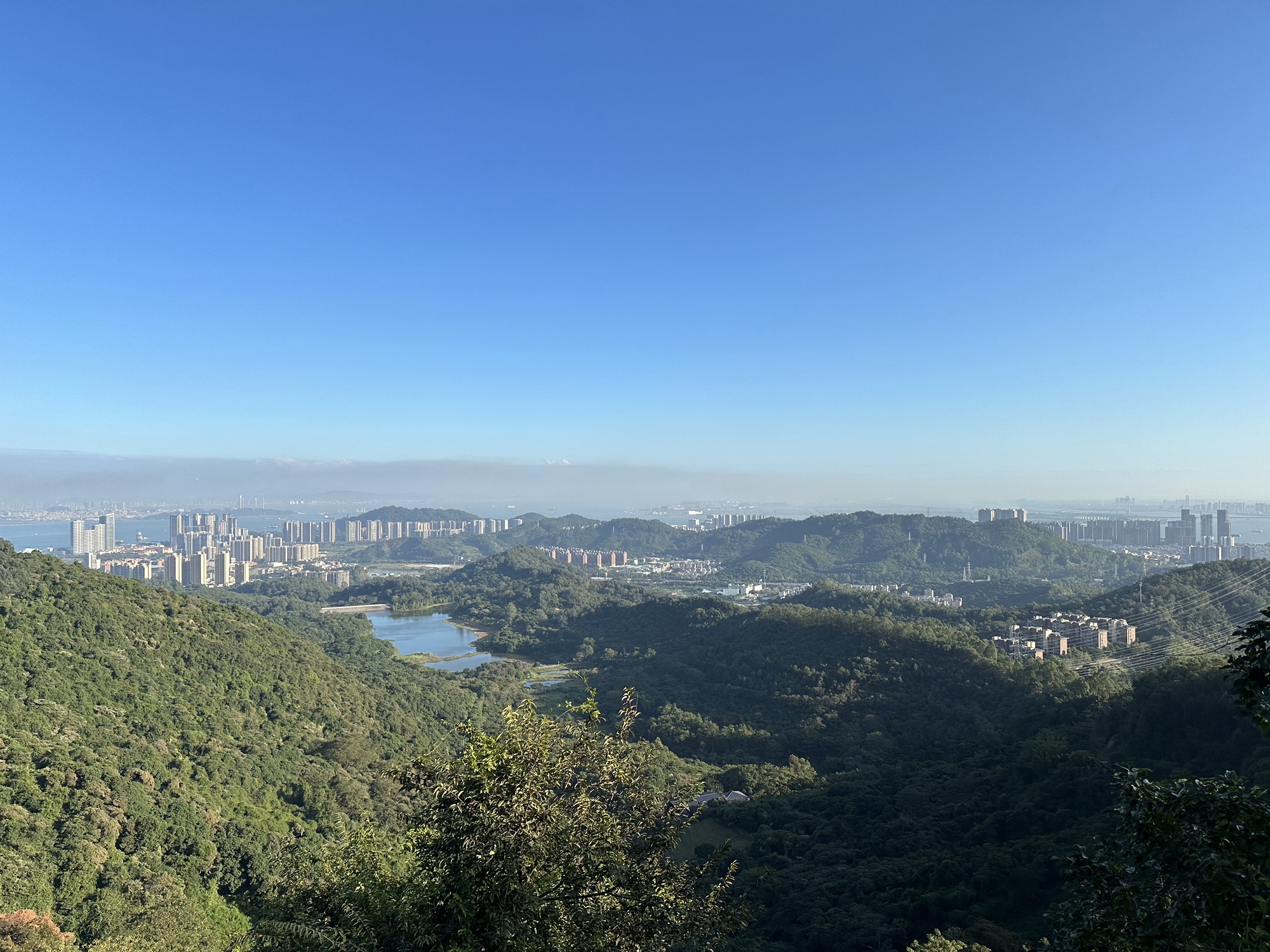 蝴蝶洲公园旅行图片 1
