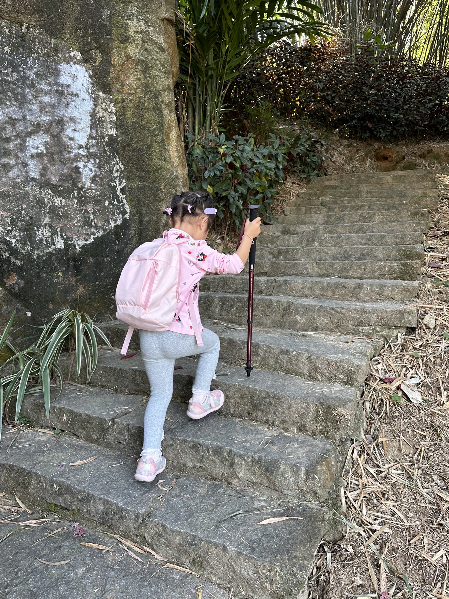 蝴蝶洲公园旅行图片 3
