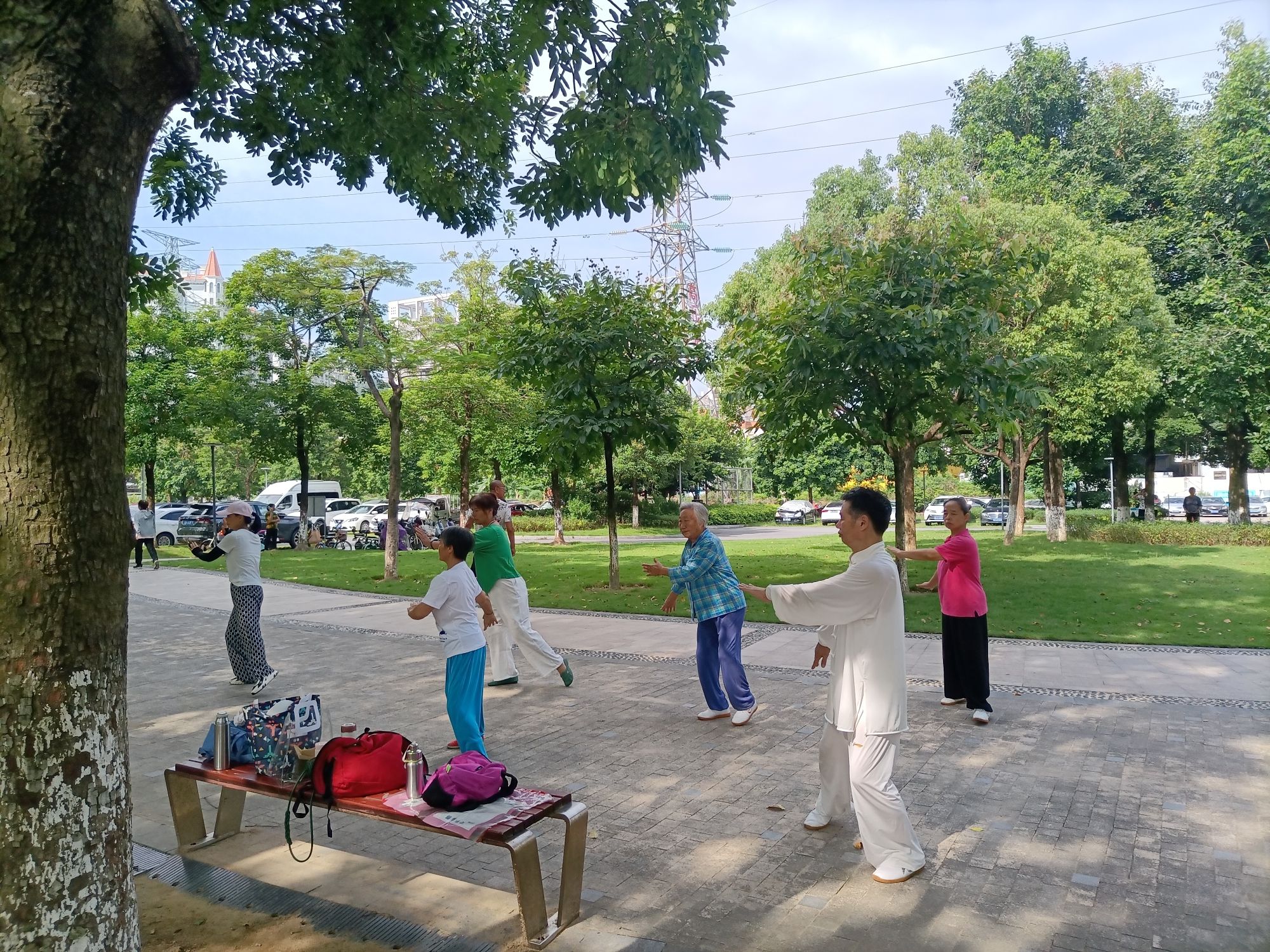 蝴蝶洲公园旅行图片 1