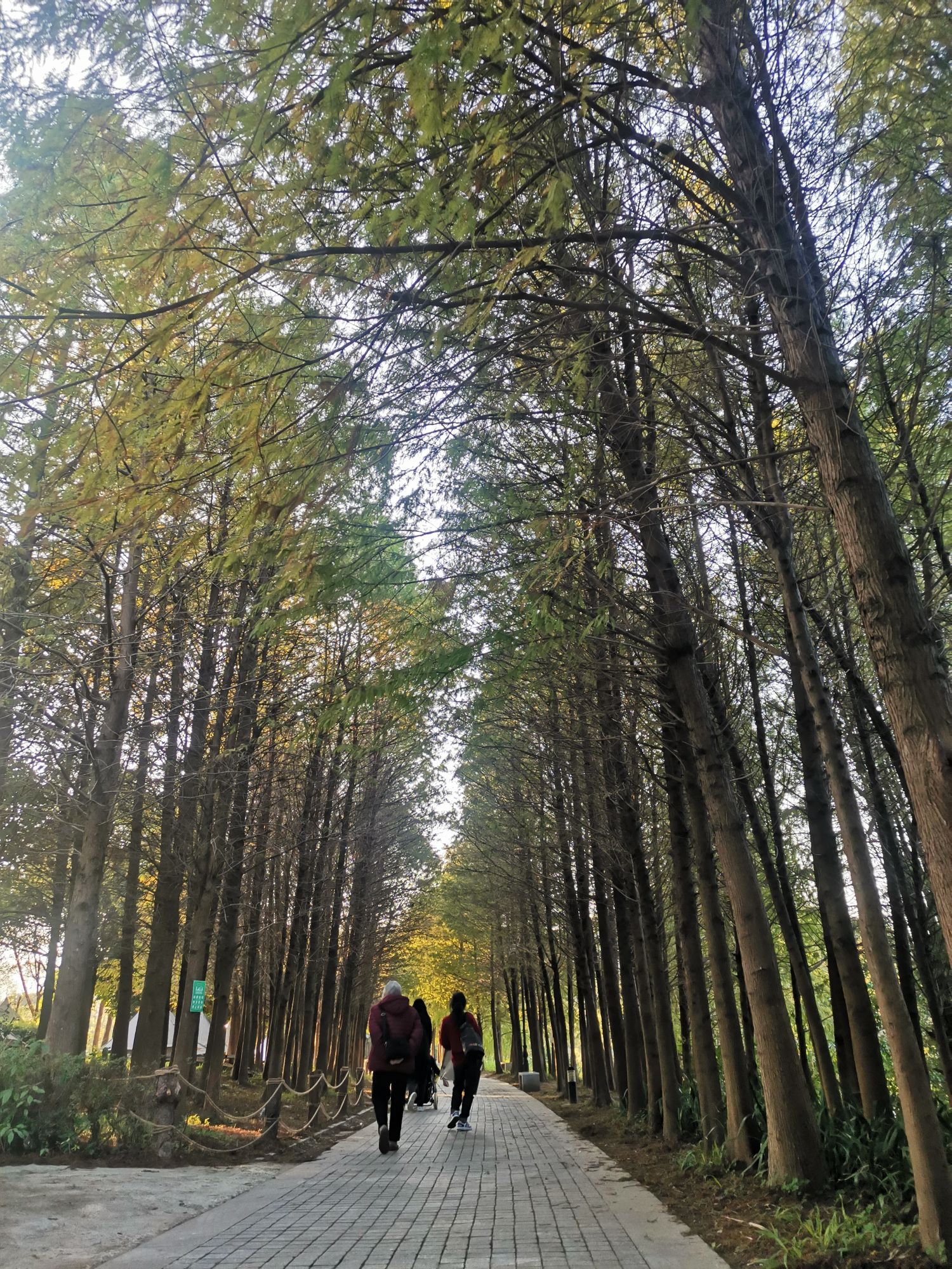 从化流溪河水陆绿道旅行图片 1