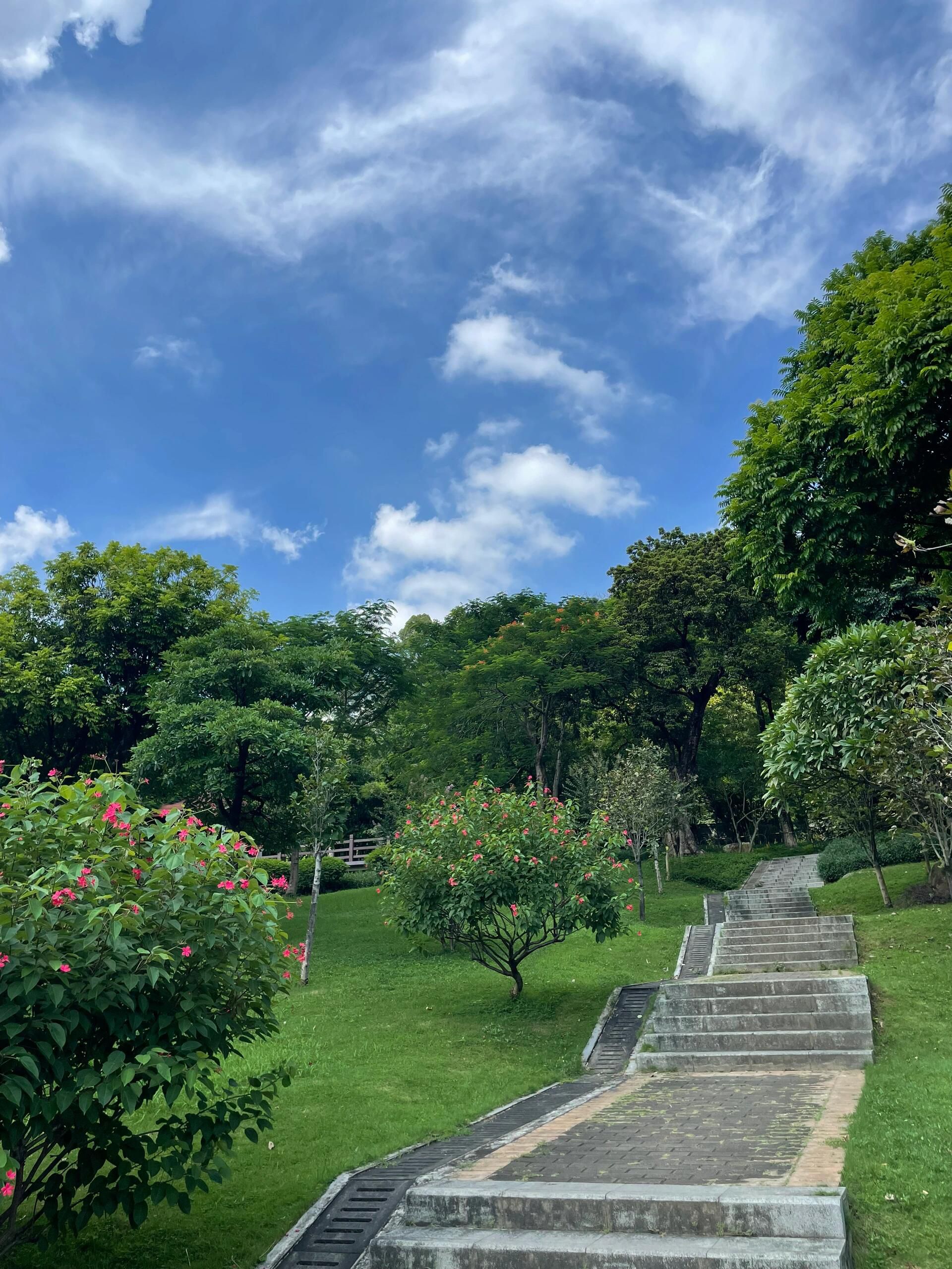 燕岭公园旅行图片 3
