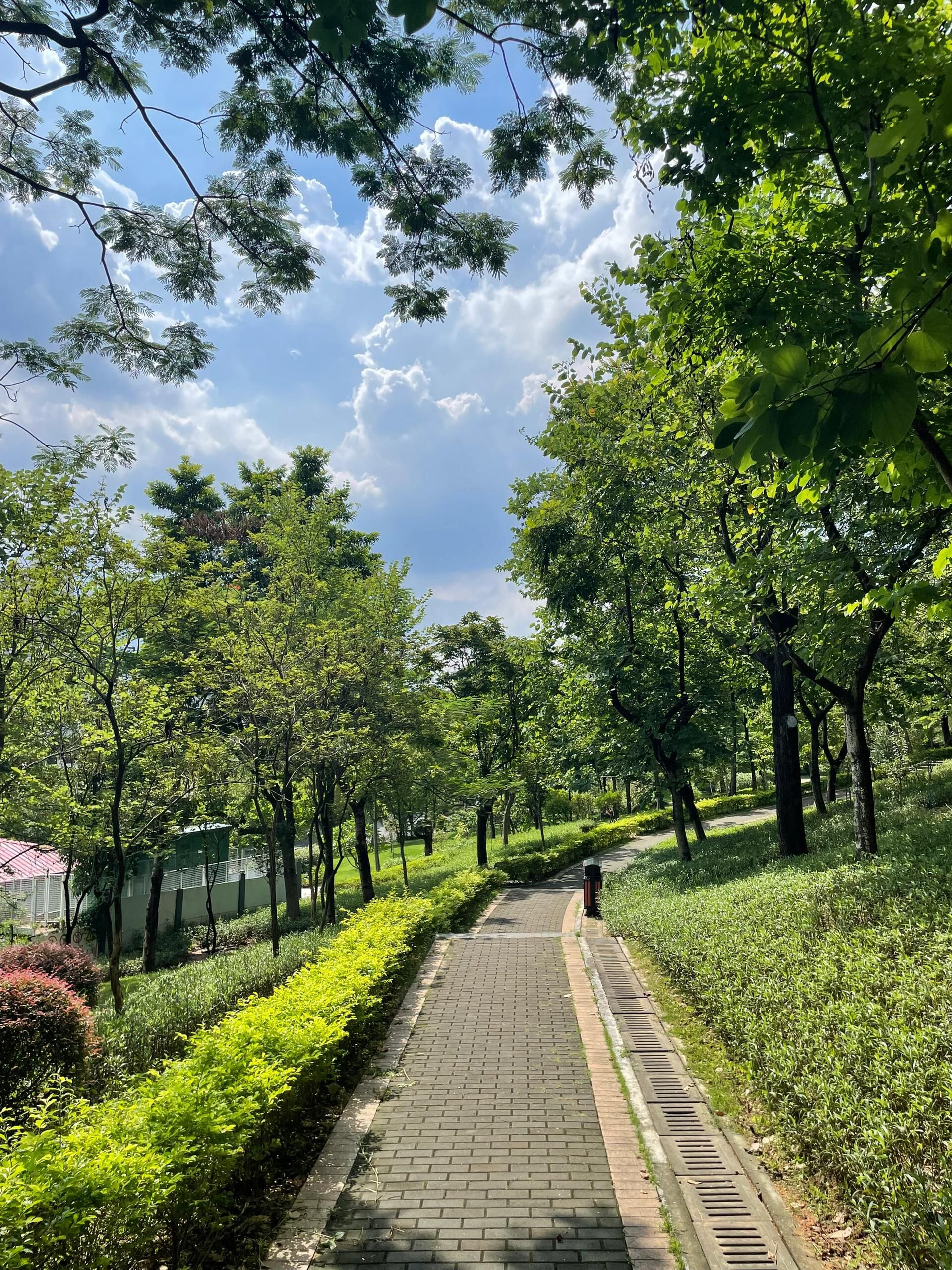 燕岭公园旅行图片 2