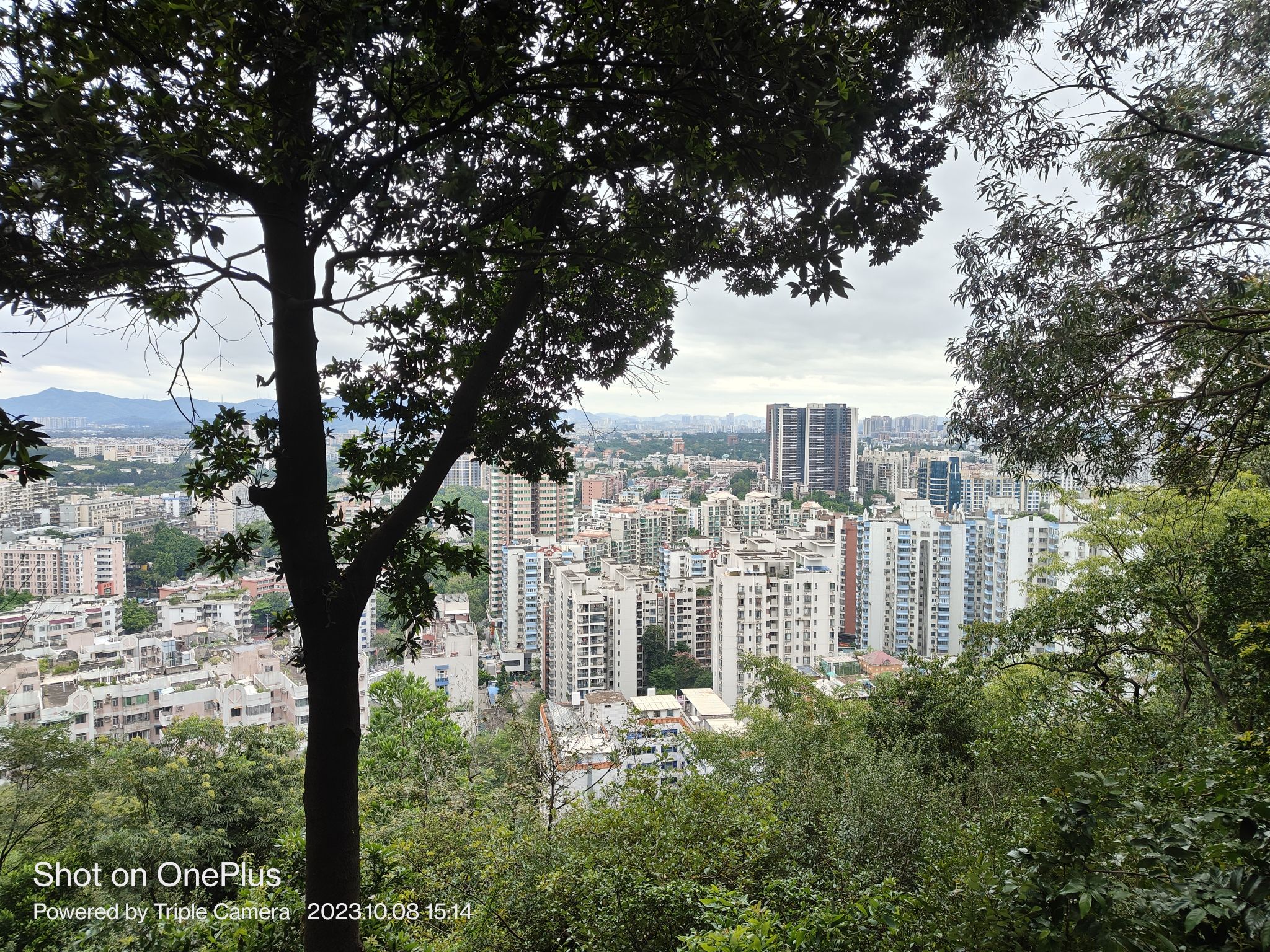 燕岭公园旅行图片 2