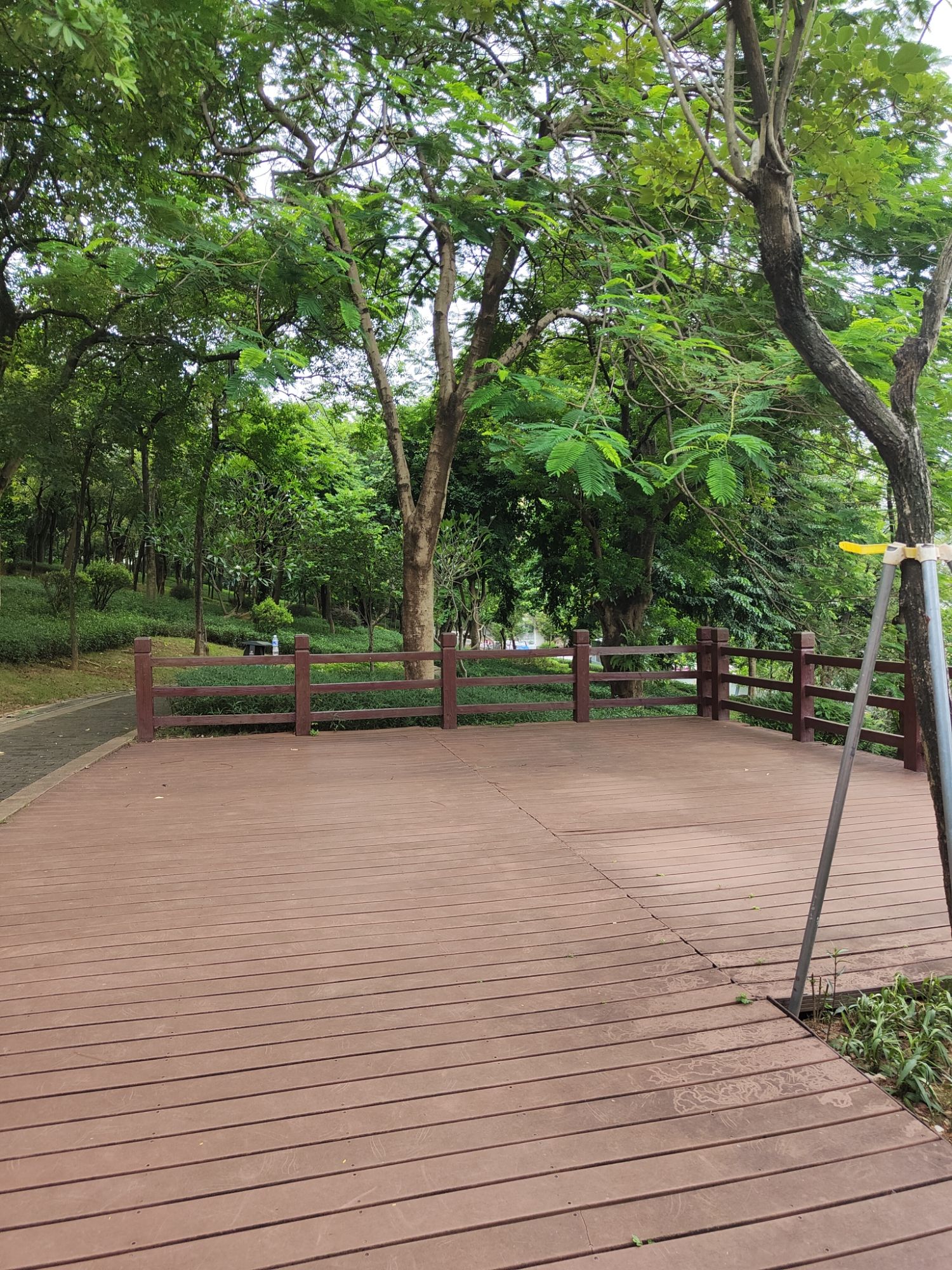 燕岭公园旅行图片 1