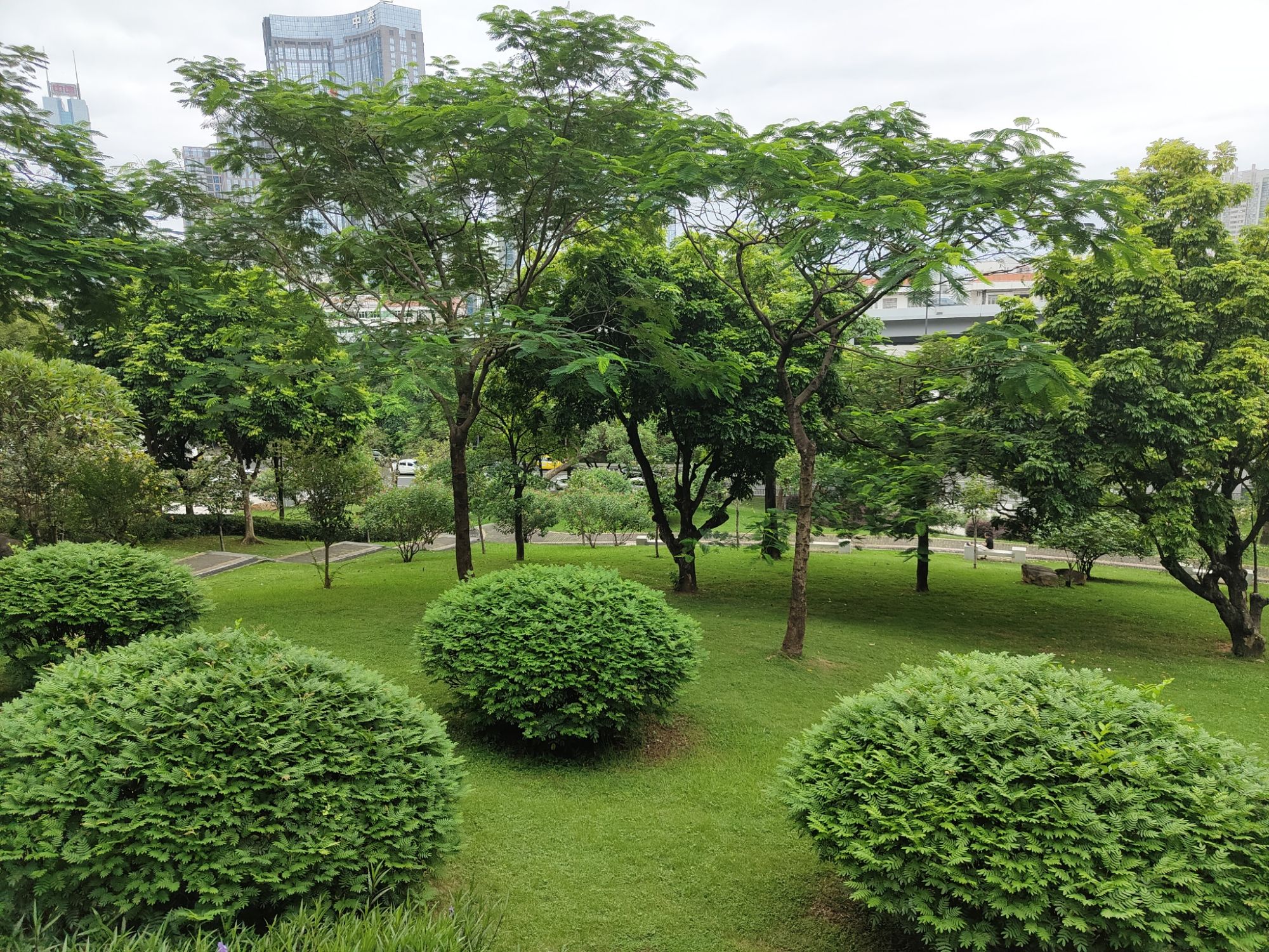 燕岭公园旅行图片 2