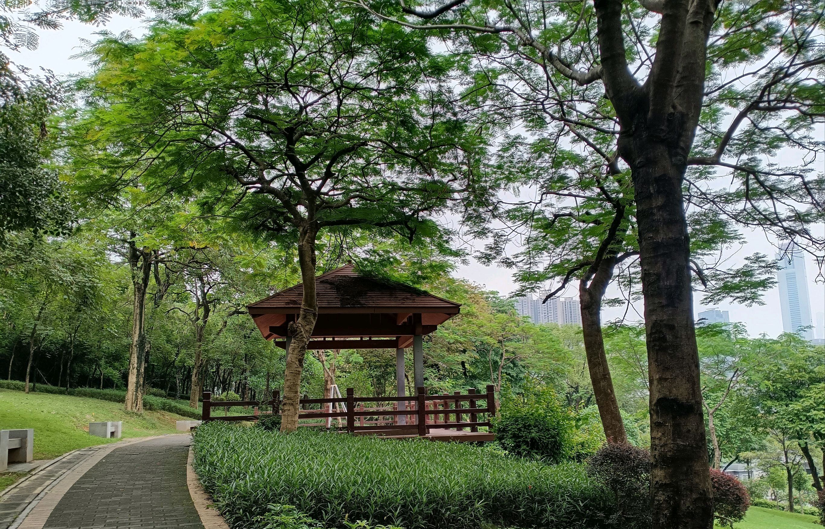 燕岭公园旅行图片 1