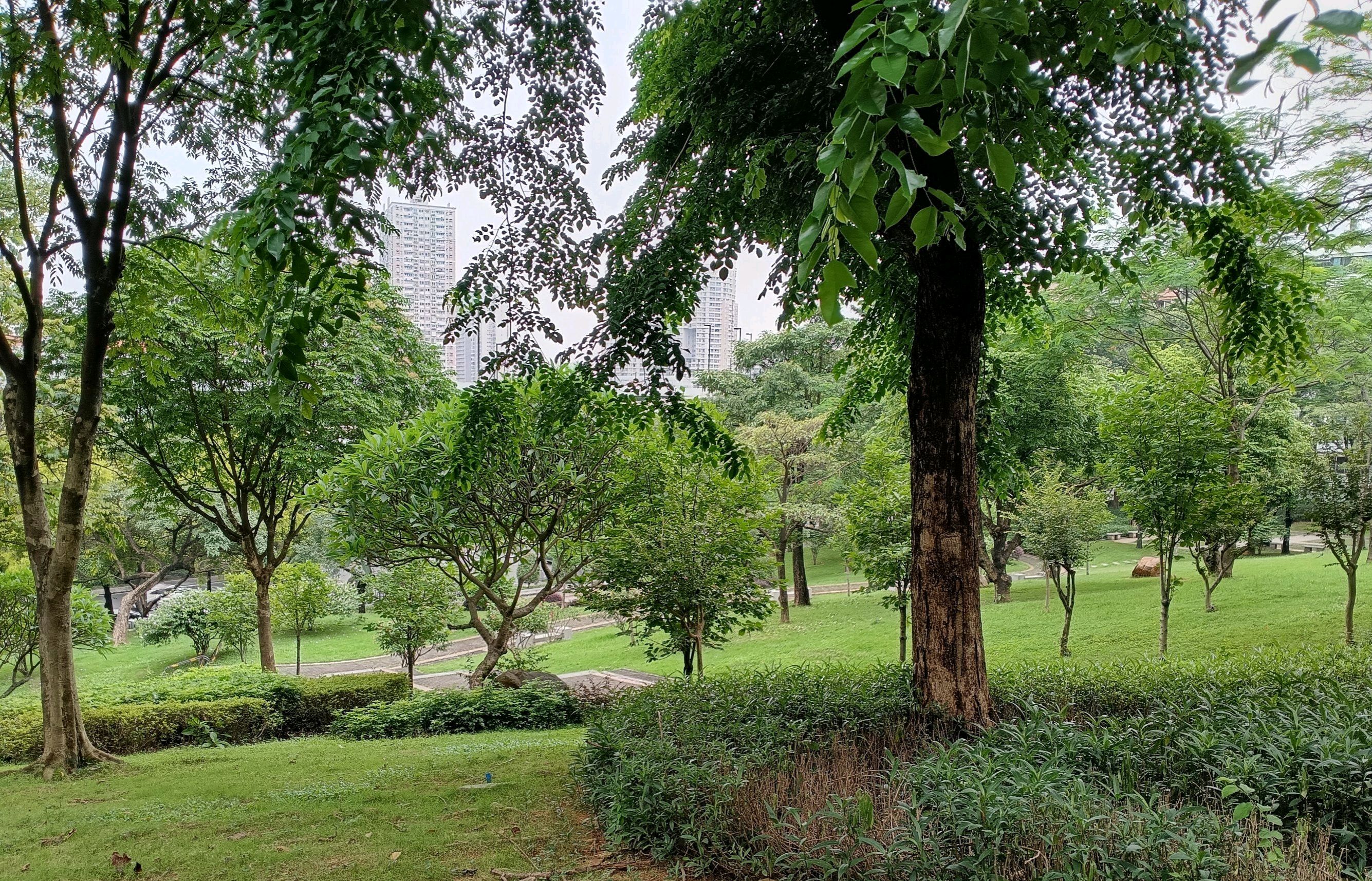 燕岭公园旅行图片 3