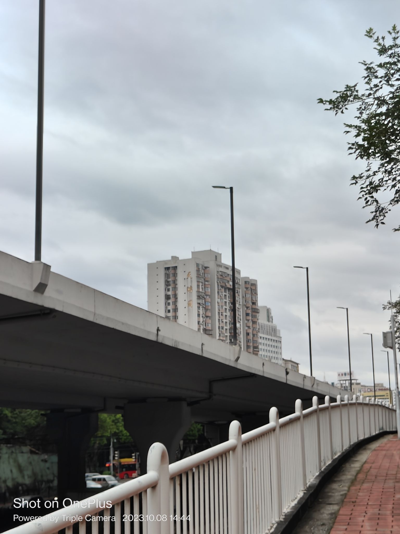 燕岭公园旅行图片 3