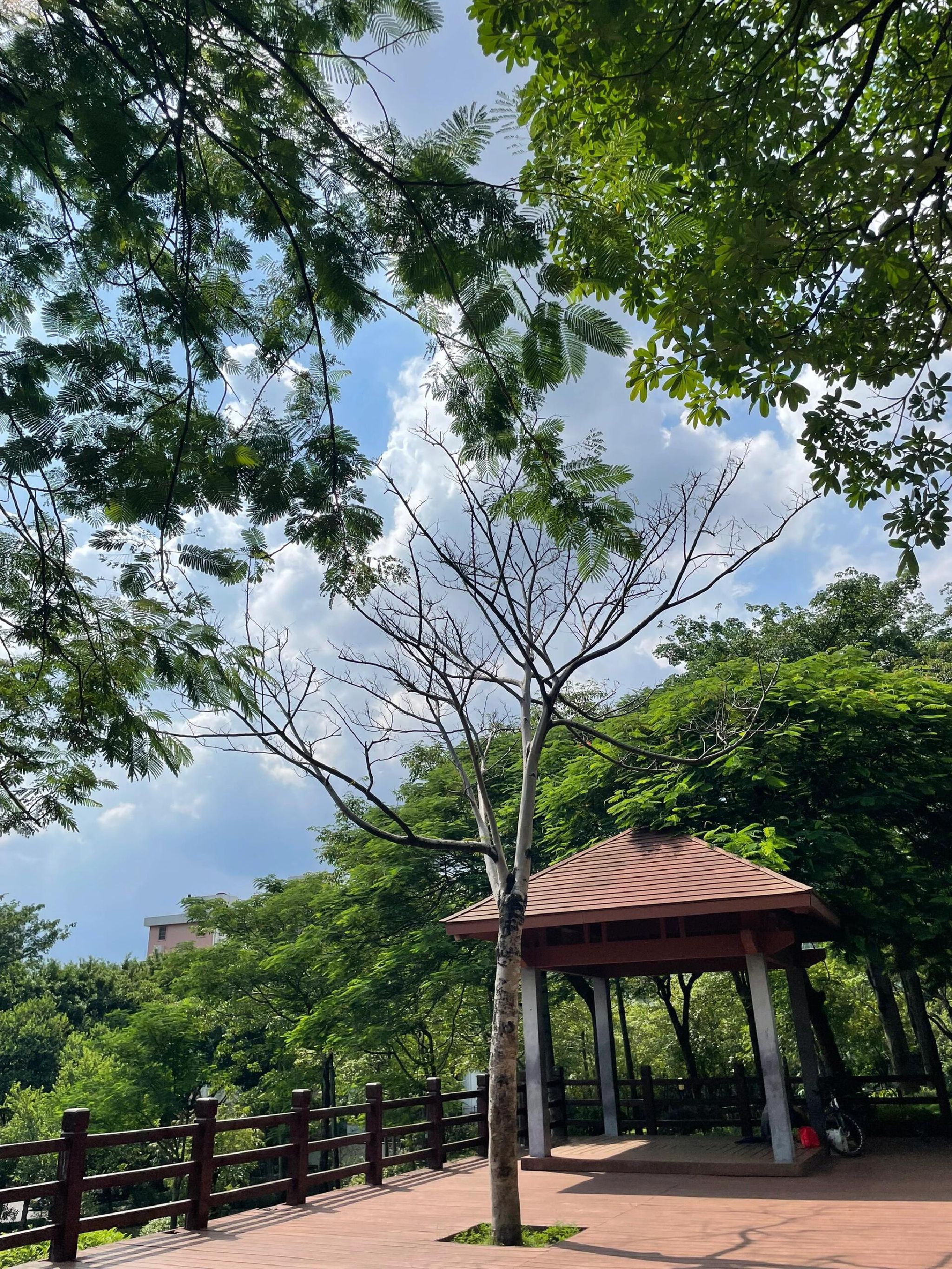 燕岭公园旅行图片 1